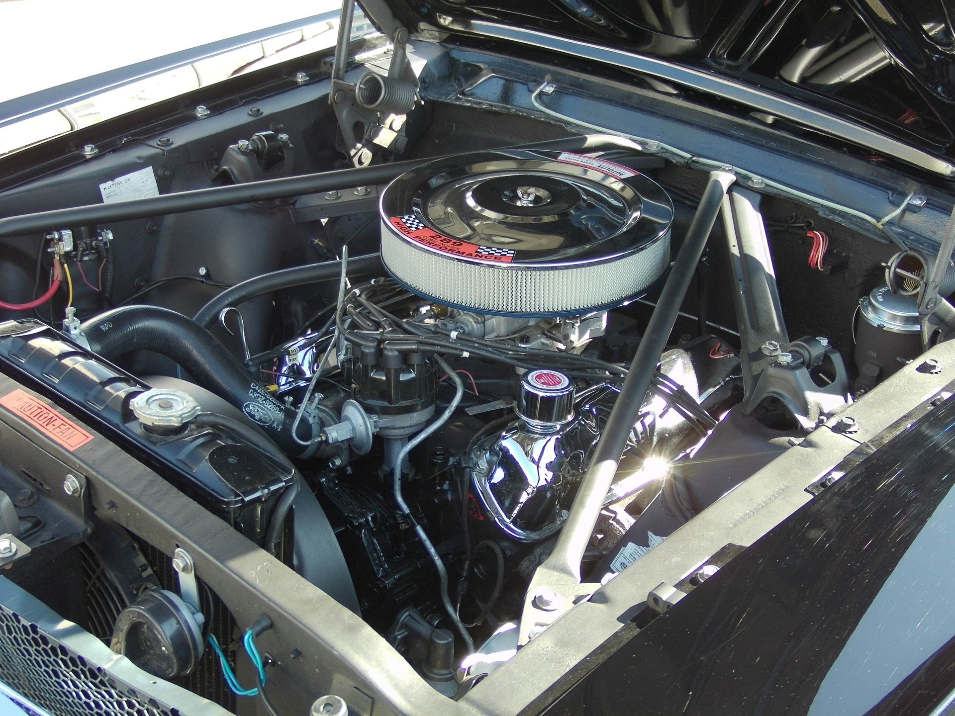 FORD MUSTANG-image-4