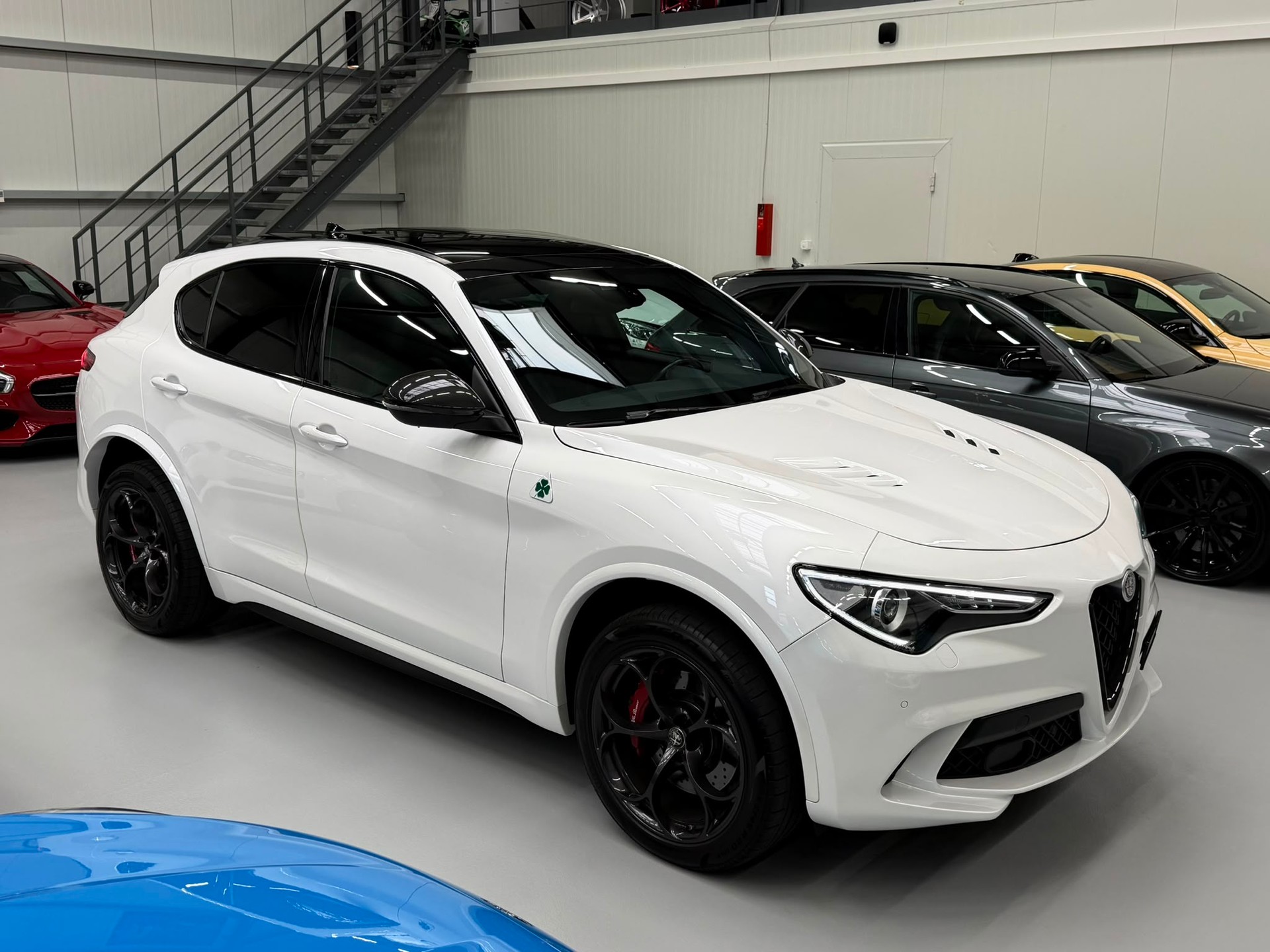 ALFA ROMEO Stelvio 2.9 V6 Quadrifoglio Q4 Automatic-image-14