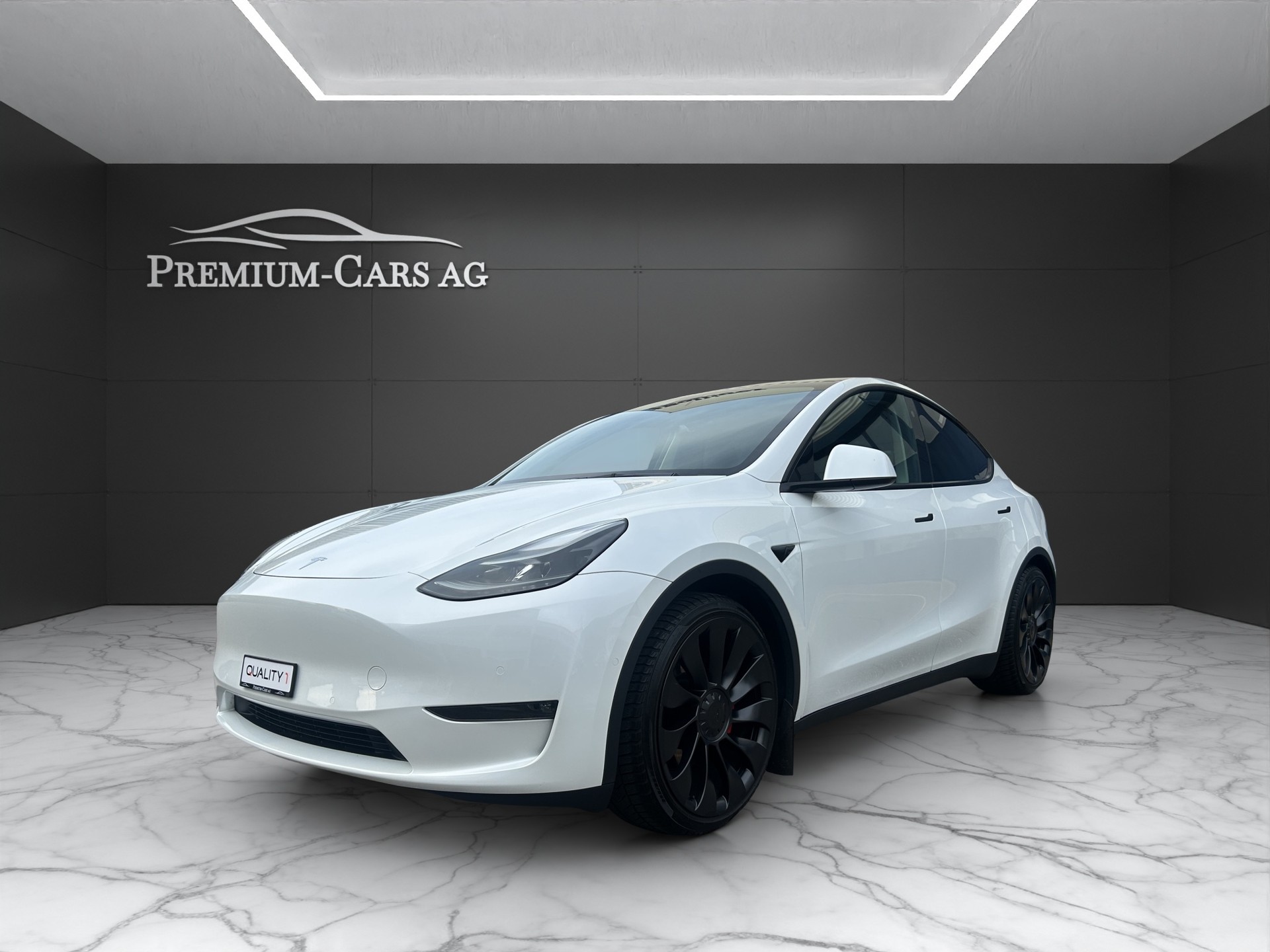 TESLA Model Y Performance / FSD Autopilot / Anhängerkupplung-image-1