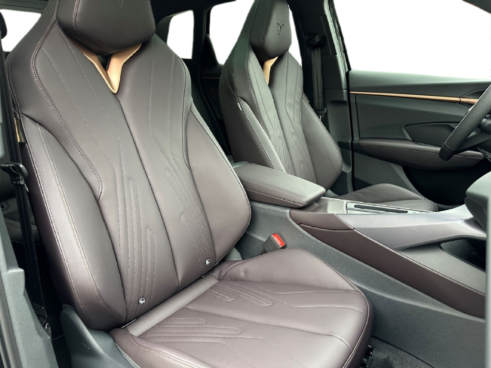 CUPRA Terramar 2.0 TSI DSG 4Drive VZ-image-8