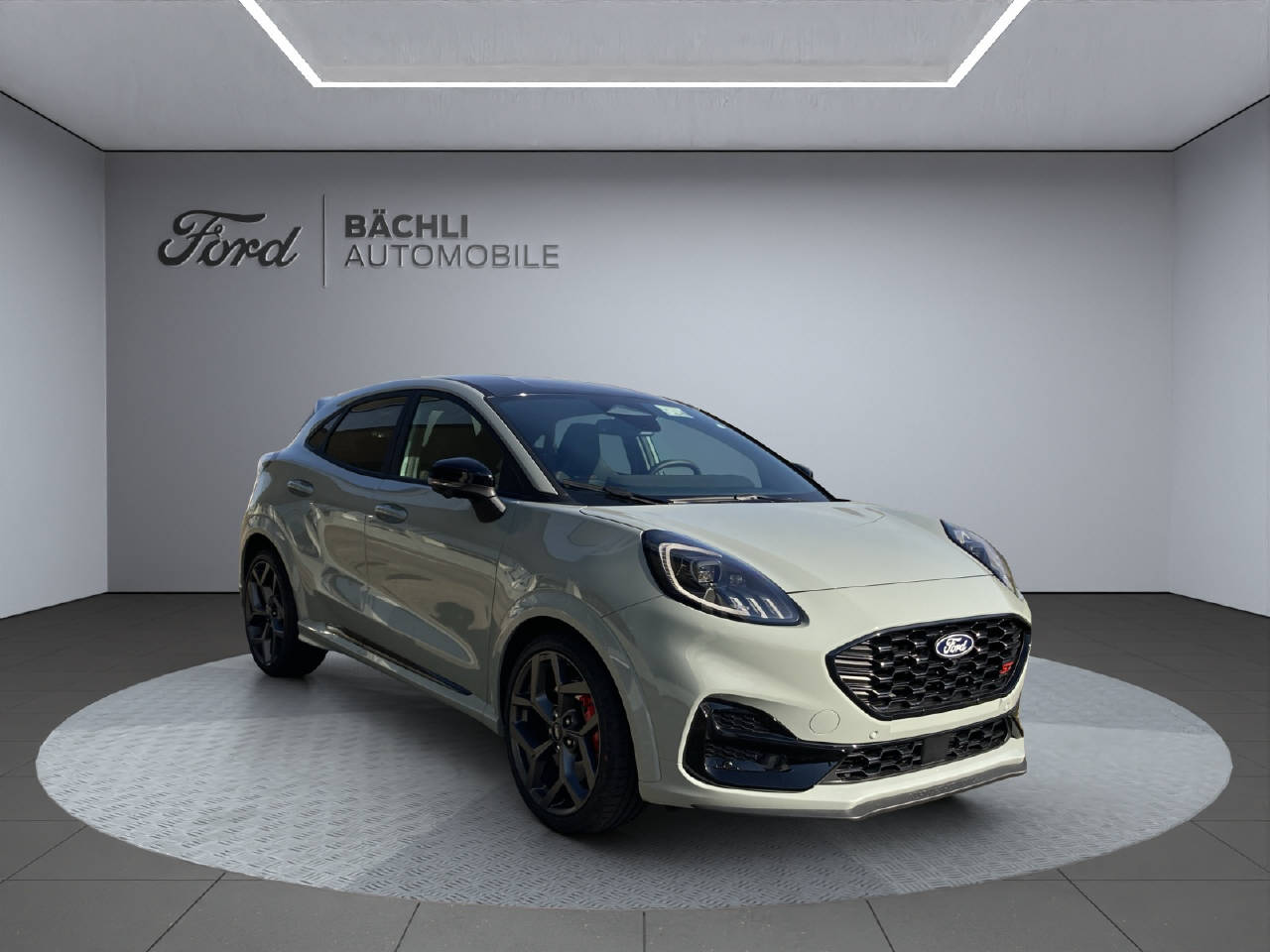FORD Puma 1.0 mHEV 160 PS ST-X-image-13