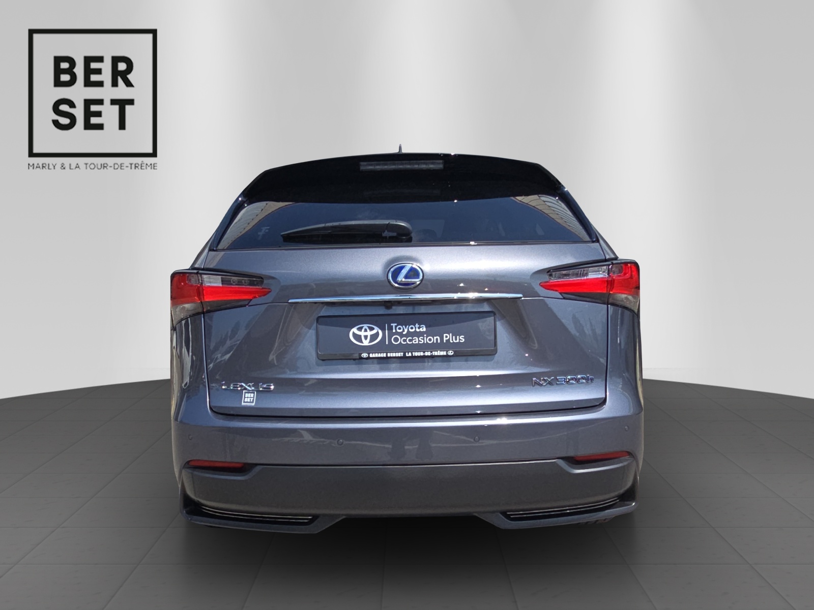 LEXUS NX 300h Comfort-image-3