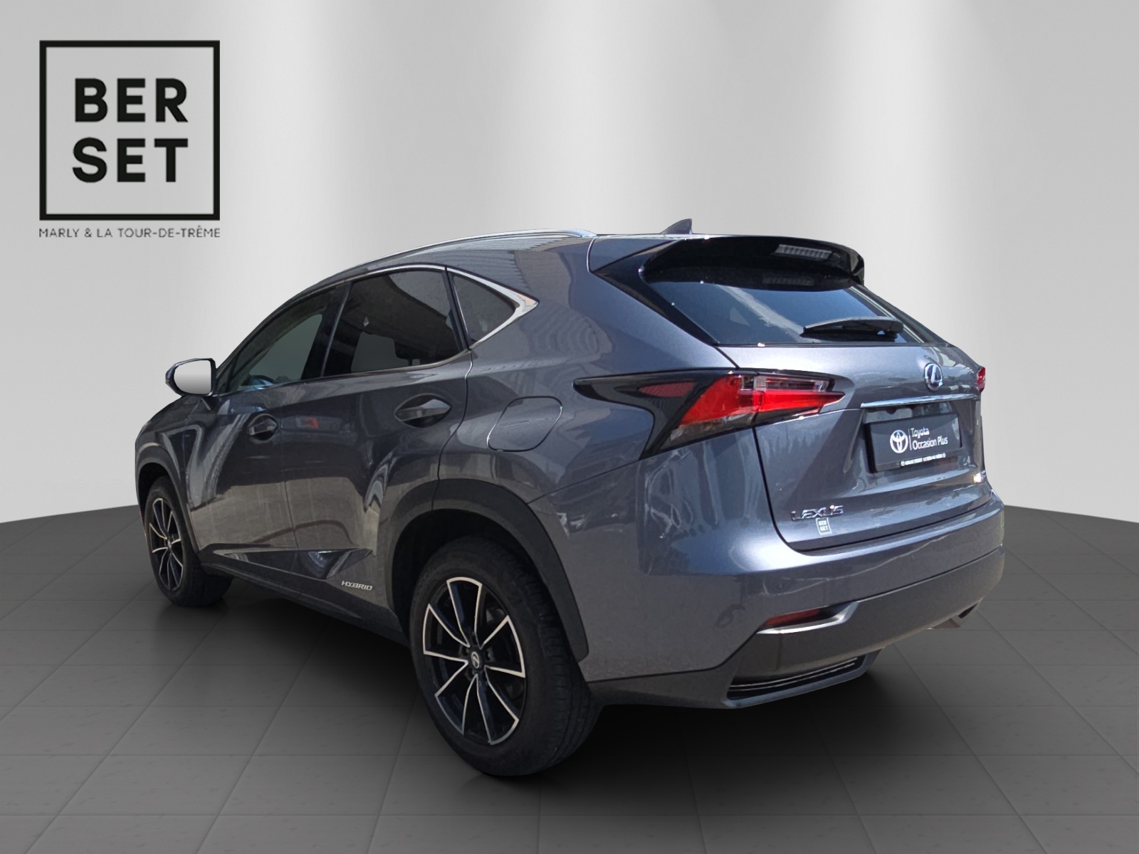 LEXUS NX 300h Comfort-image-2