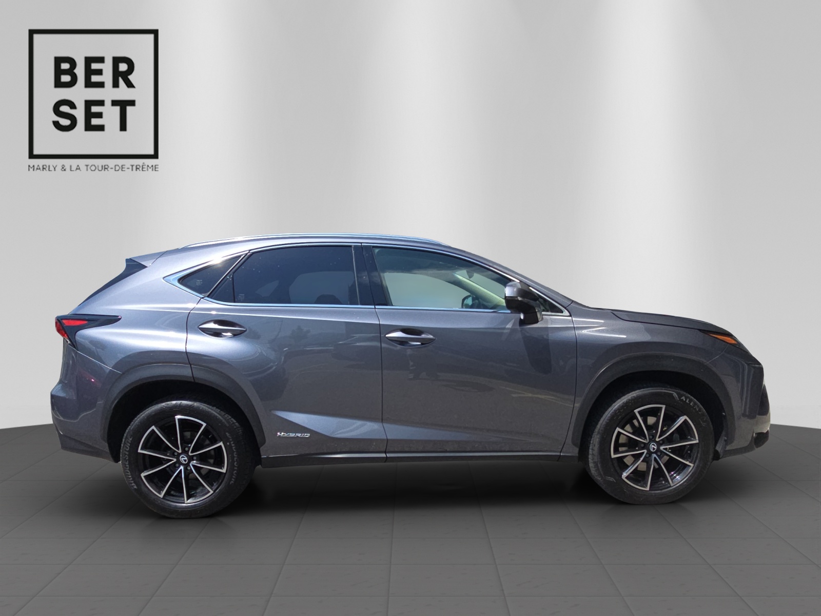 LEXUS NX 300h Comfort-image-5