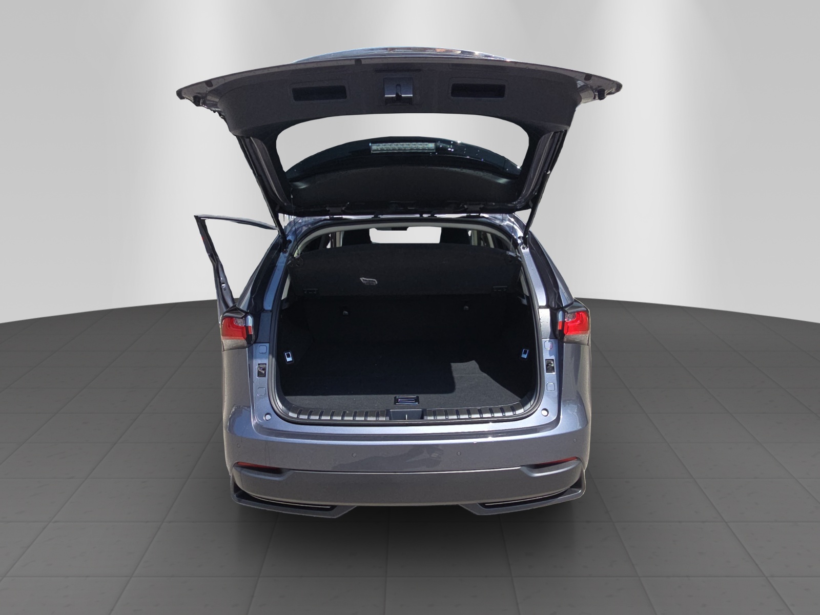 LEXUS NX 300h Comfort-image-12