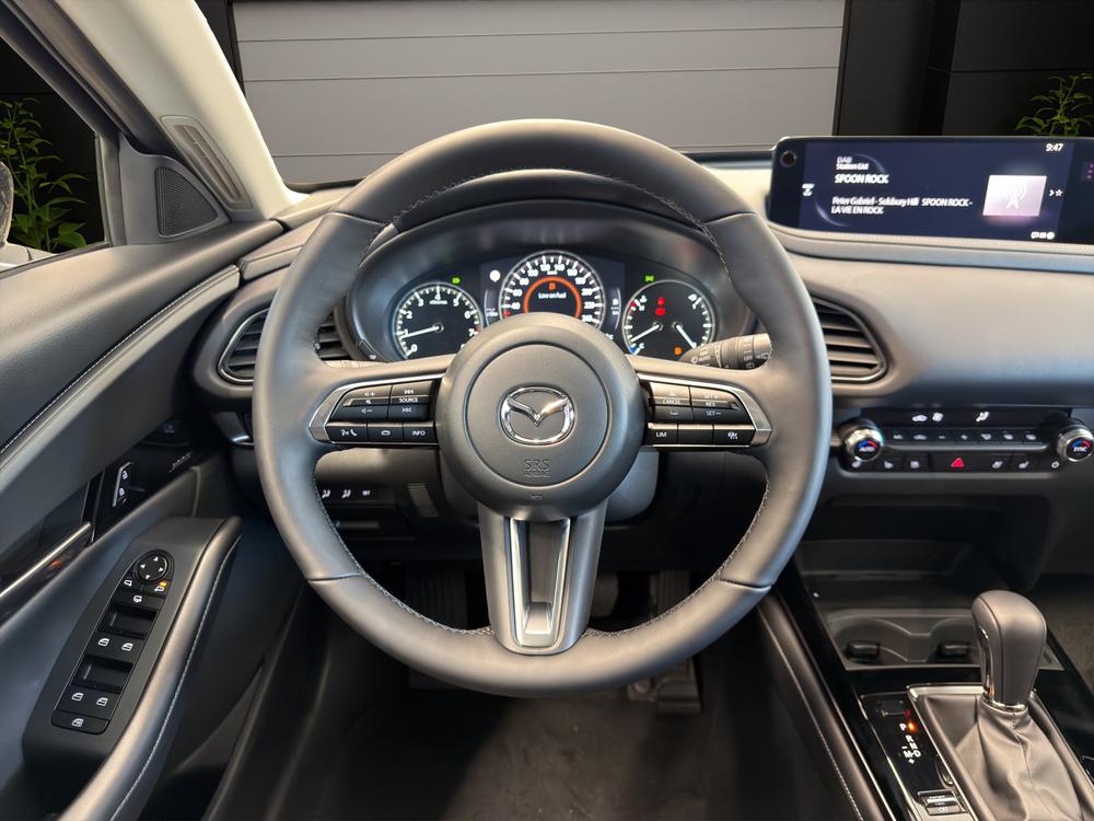 MAZDA CX-30 SKYACTIV-X 186 M Hybrid Homura Plus AWD AT-image-8