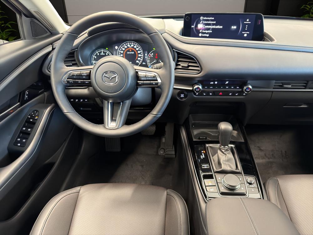 MAZDA CX-30 SKYACTIV-X 186 M Hybrid Homura Plus AWD AT-image-7
