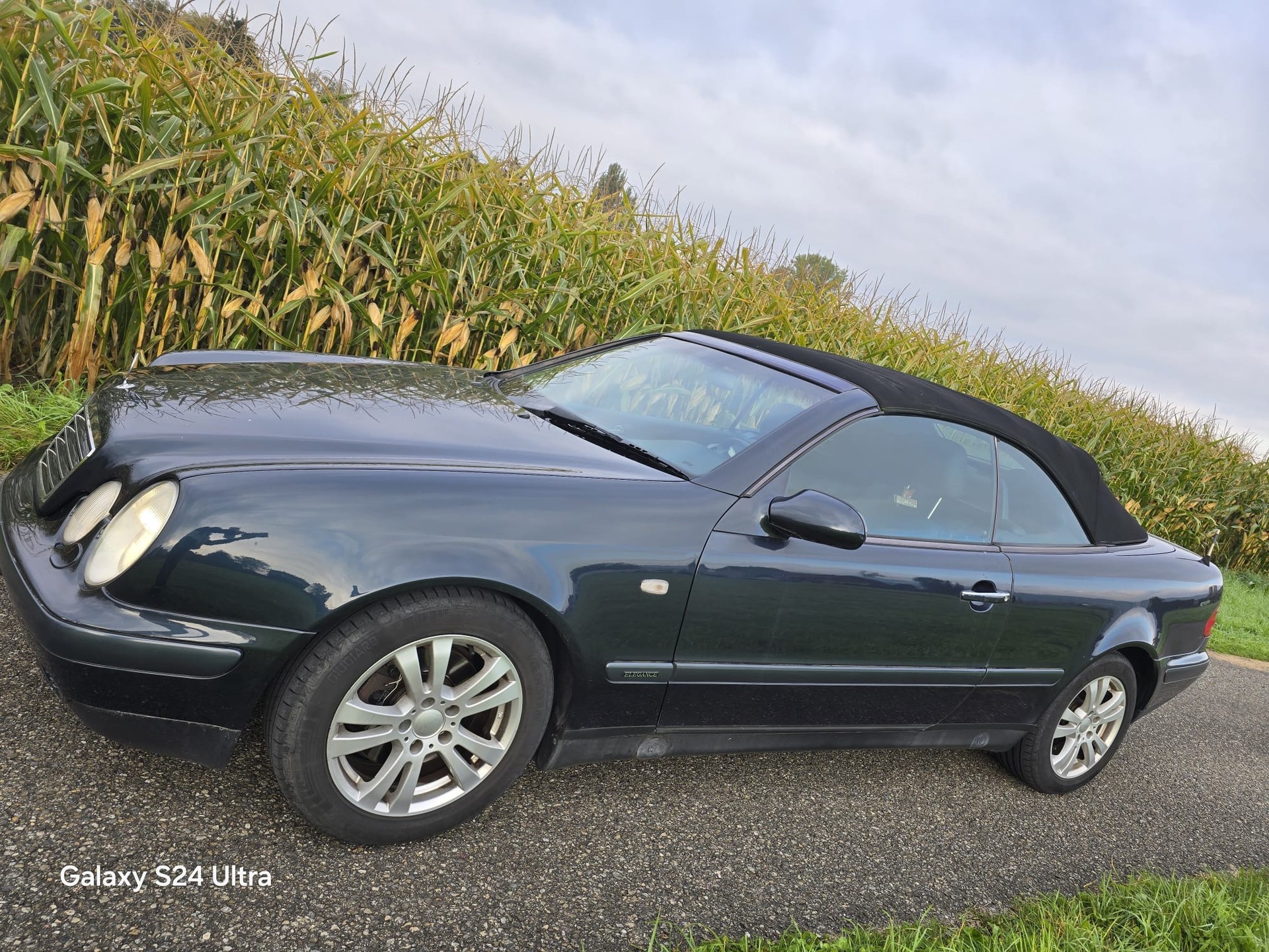 MERCEDES-BENZ CLK 320 Elégance Automatic-image-13