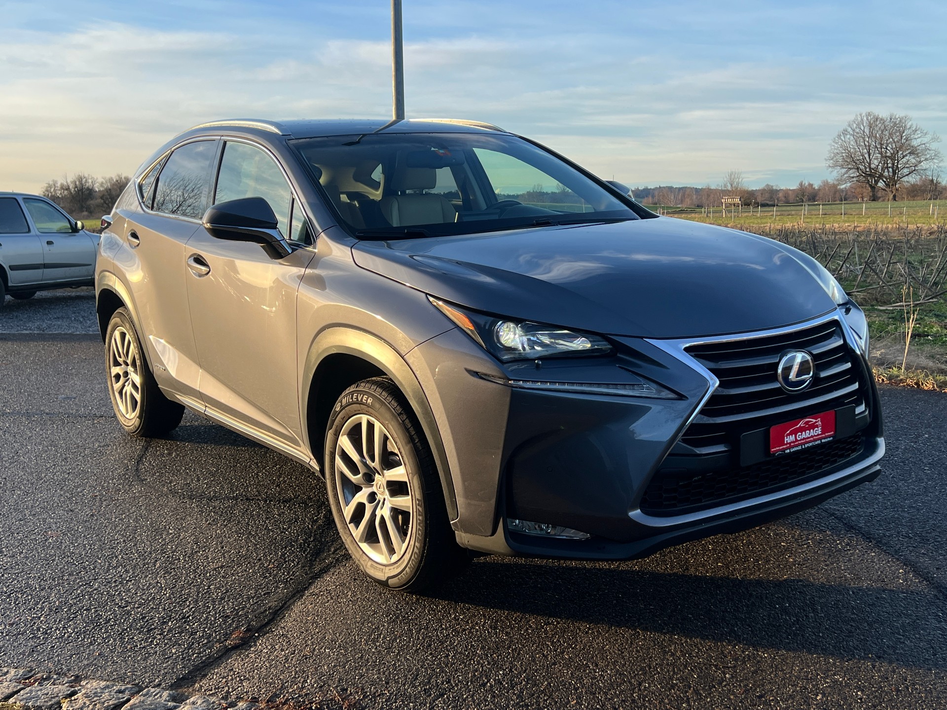 LEXUS NX 300h business E-Four Automatic