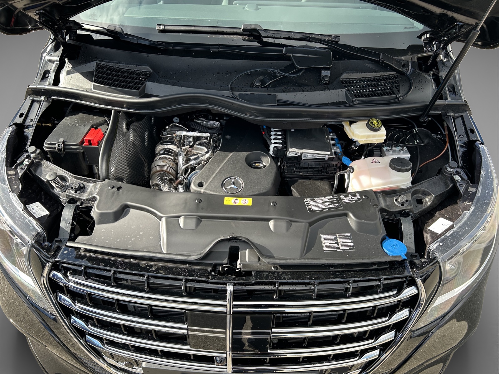 MERCEDES-BENZ V 300 d lang 4Matic Exclusive 9G-Tronic-image-11