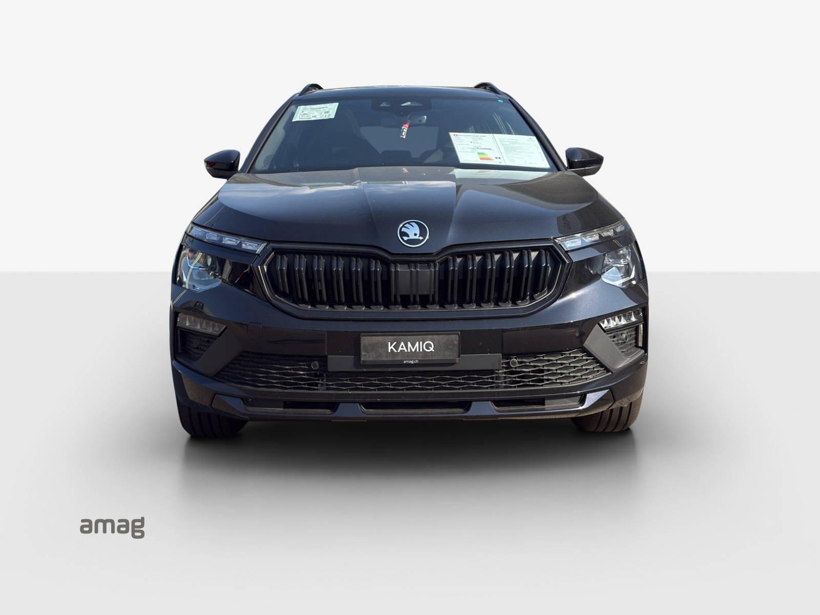 SKODA Kamiq 1.5 TSI Monte Carlo DSG-image-6