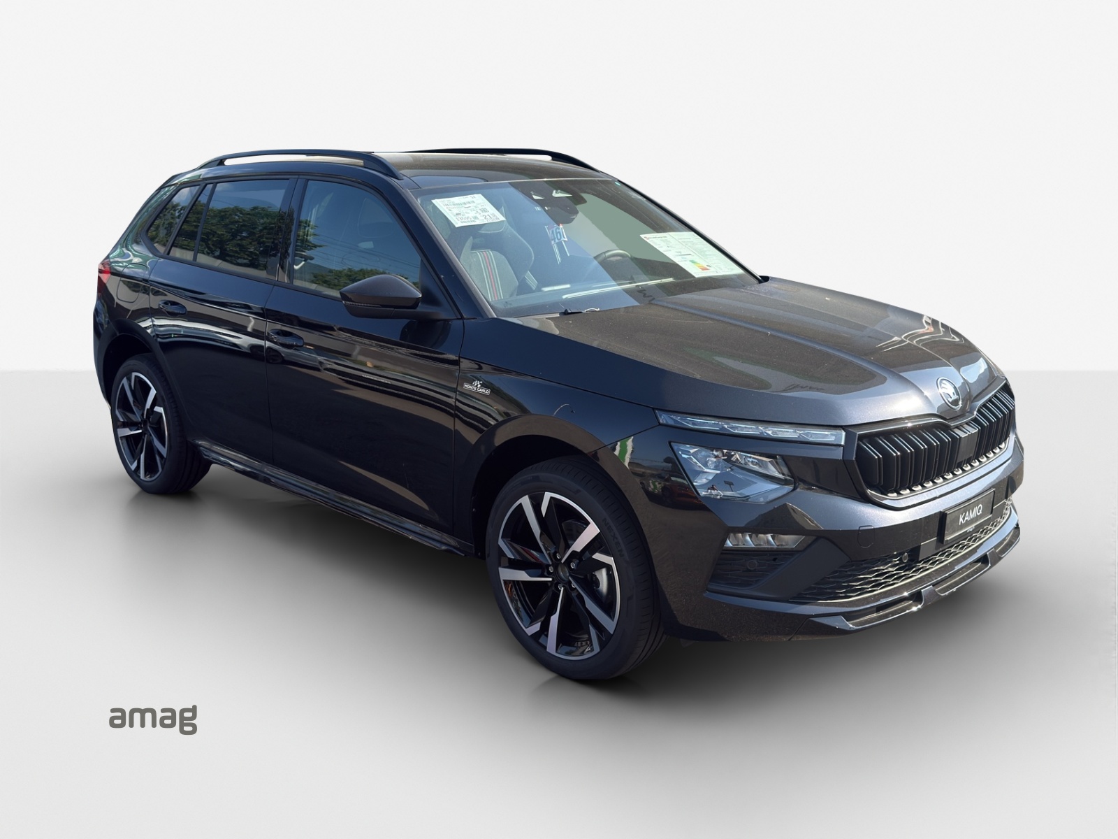 SKODA Kamiq 1.5 TSI Monte Carlo DSG-image-5