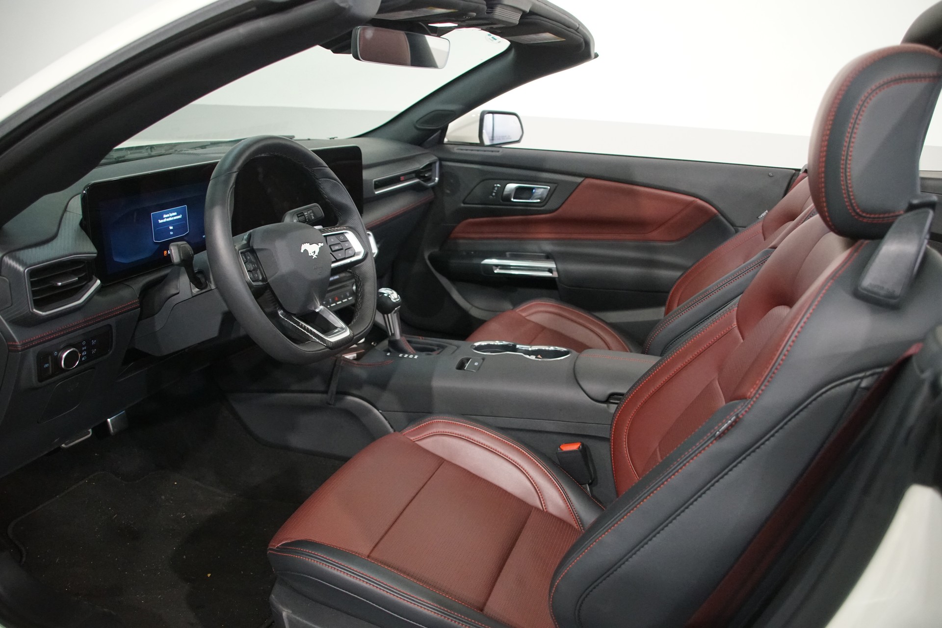 FORD Mustang GT 5.0 60th Anniversary-image-16