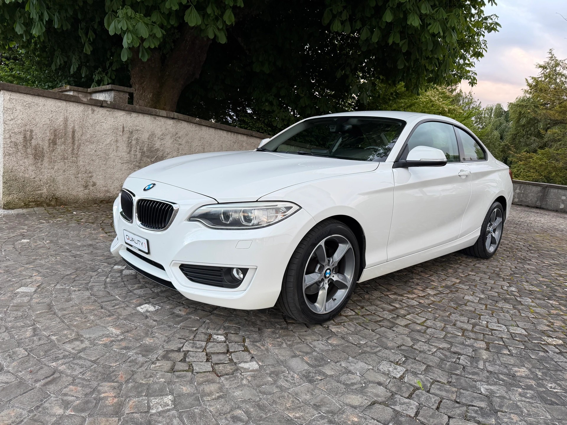 BMW 220iCoupé Steptronic / 1 Hand / CH-Fahrzeug / Frisch ab MFK / Service gepflegt / Navi / Xenon / DAB-image-0