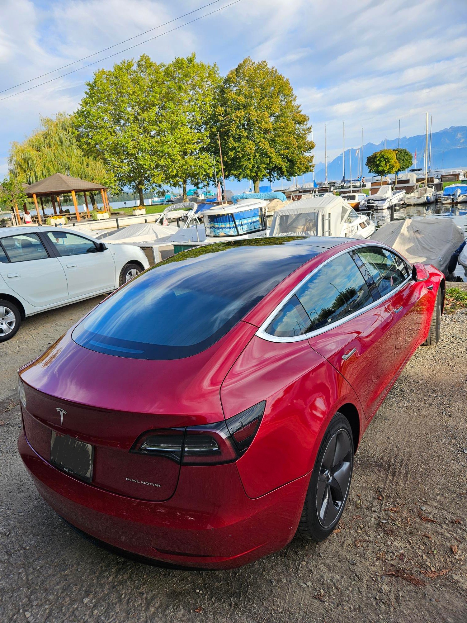 TESLA Long Range D-image-2