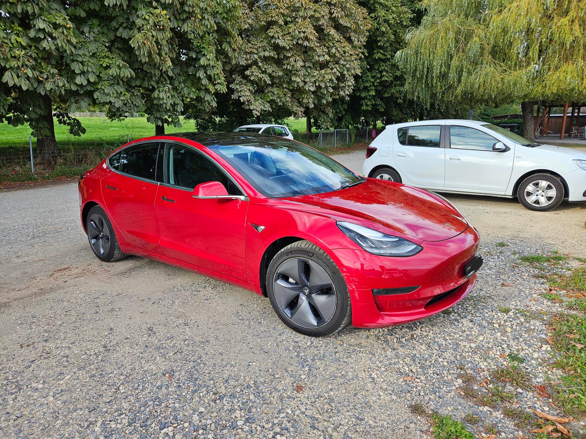 TESLA Long Range D-image-0