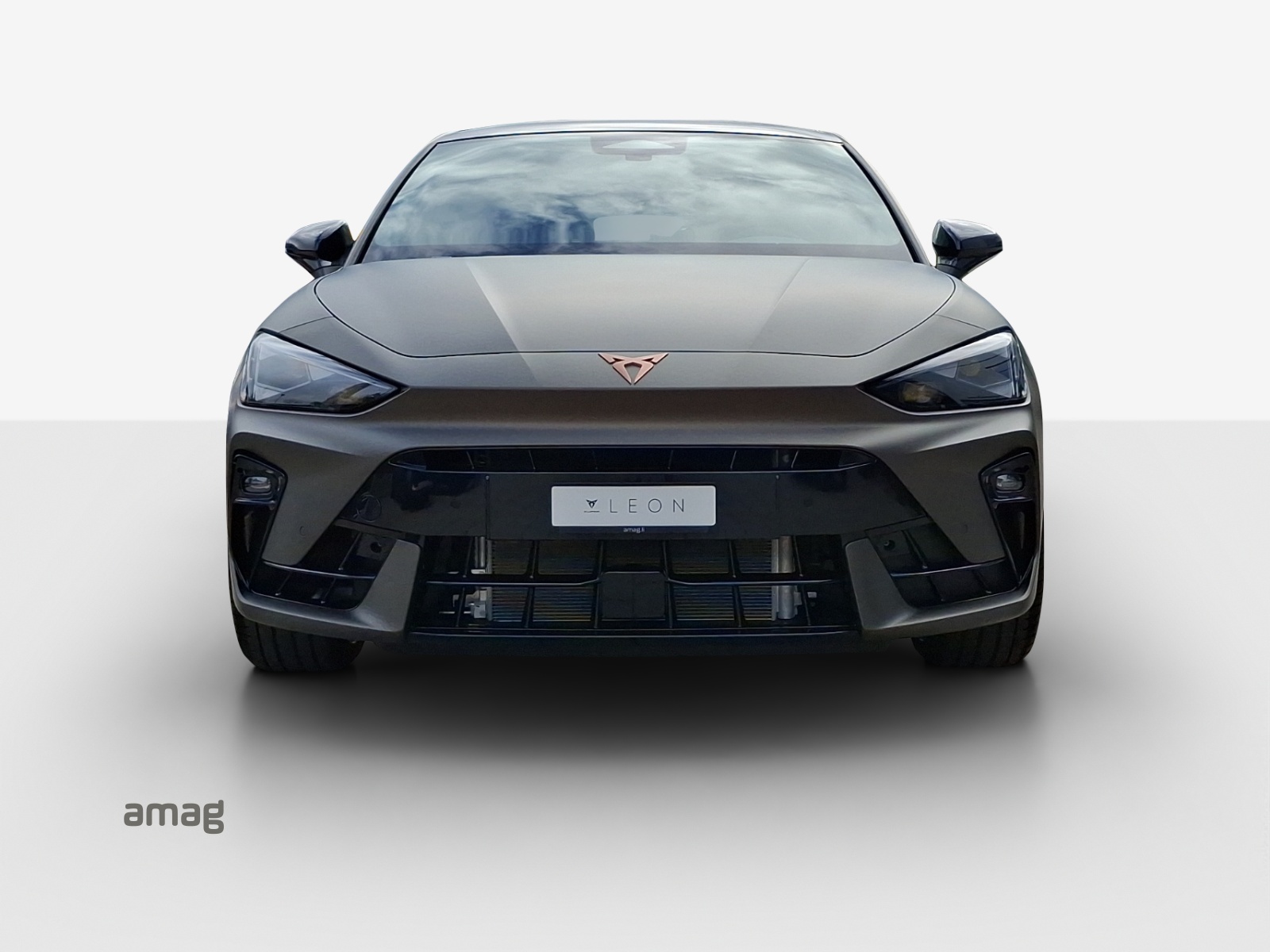 CUPRA LEON 2.0 TSI Extreme DSG-image-6
