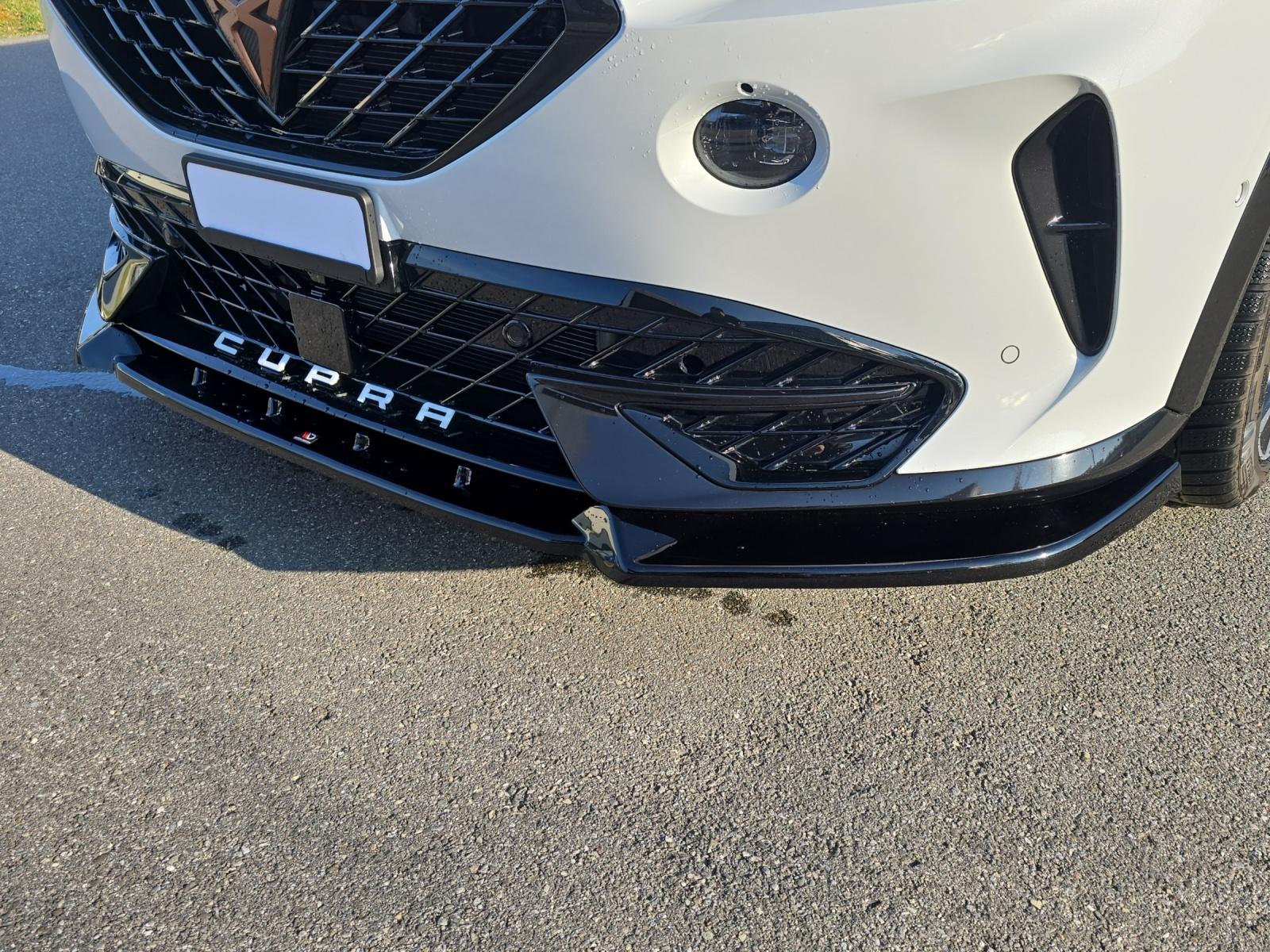 CUPRA Formentor 2.0 TSI VZ 4Drive DSG-image-19