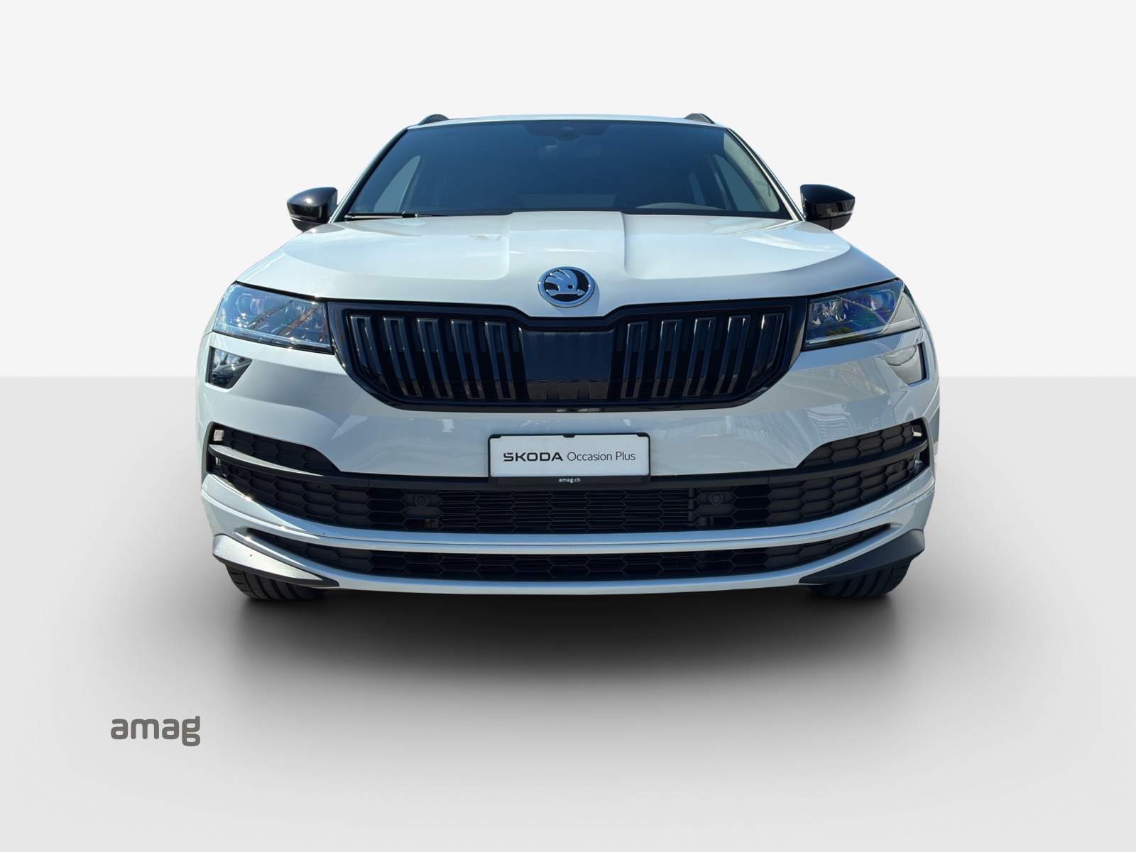 SKODA Karoq 1.5 TSI ACT SportLine DSG-image-6
