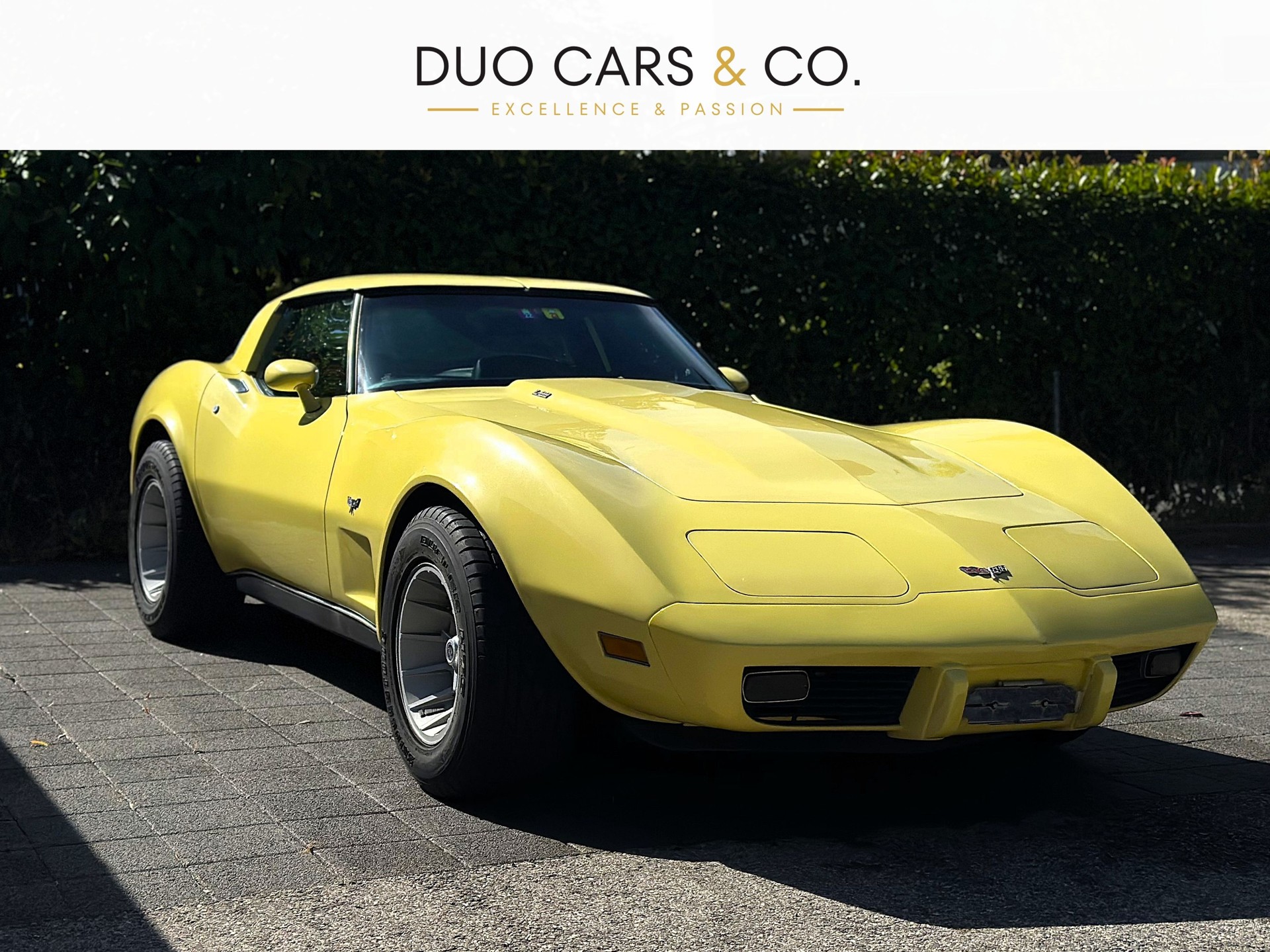CHEVROLET CORVETTE-image-0