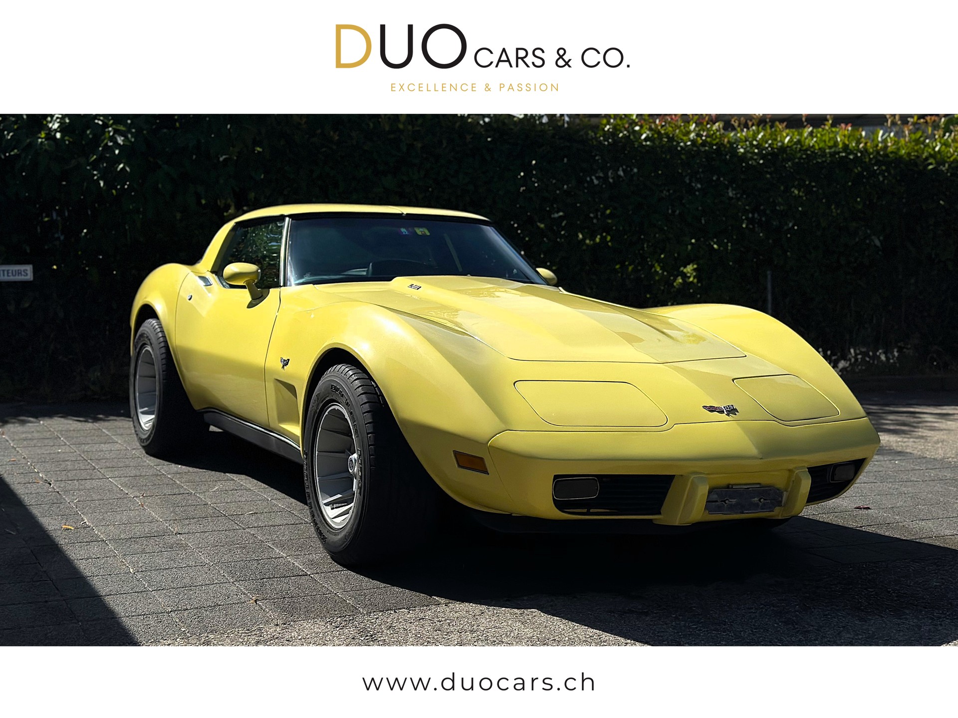 CHEVROLET CORVETTE-image-0