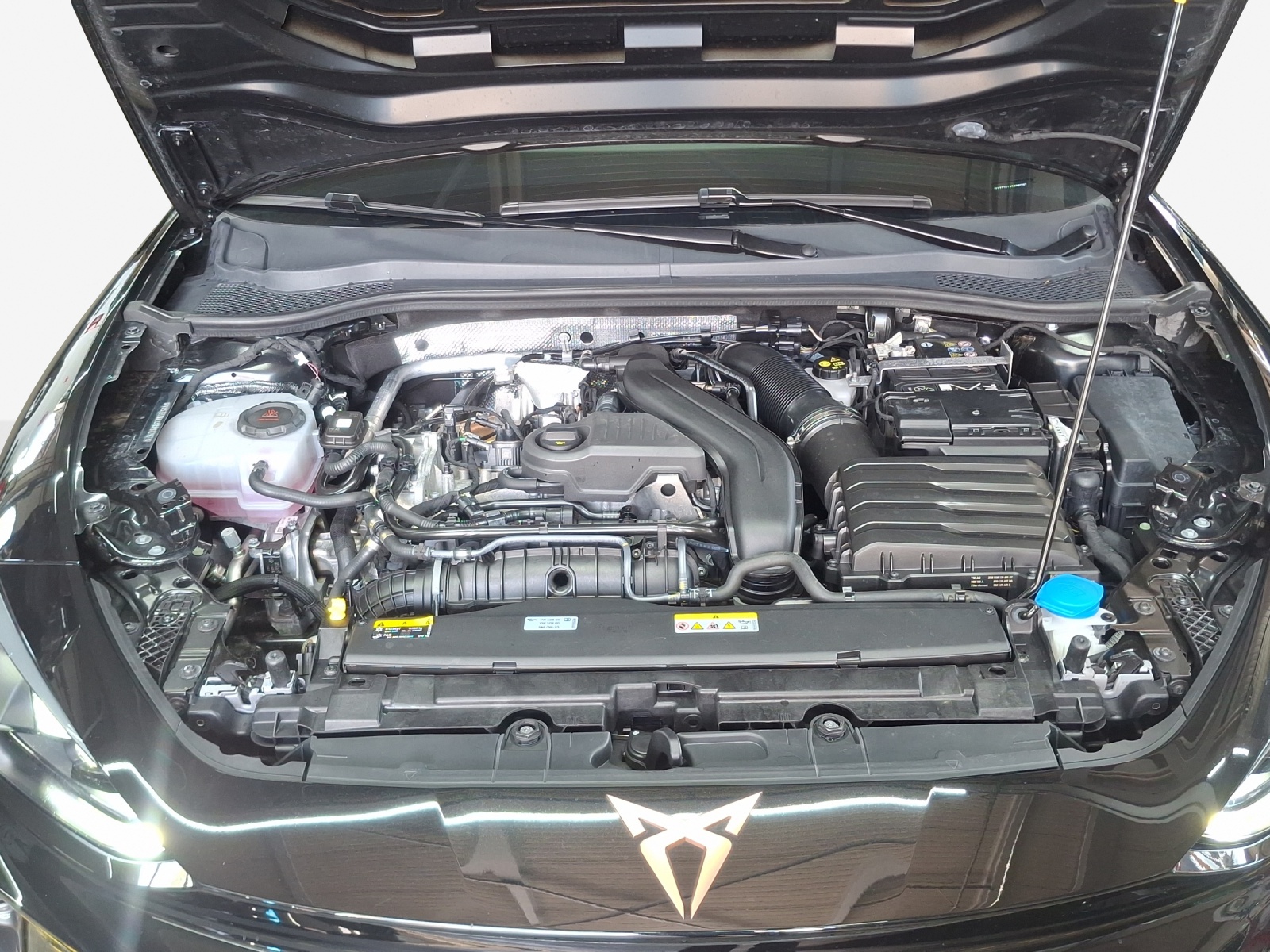CUPRA LEON ST 1.5 eTSI DSG-image-15