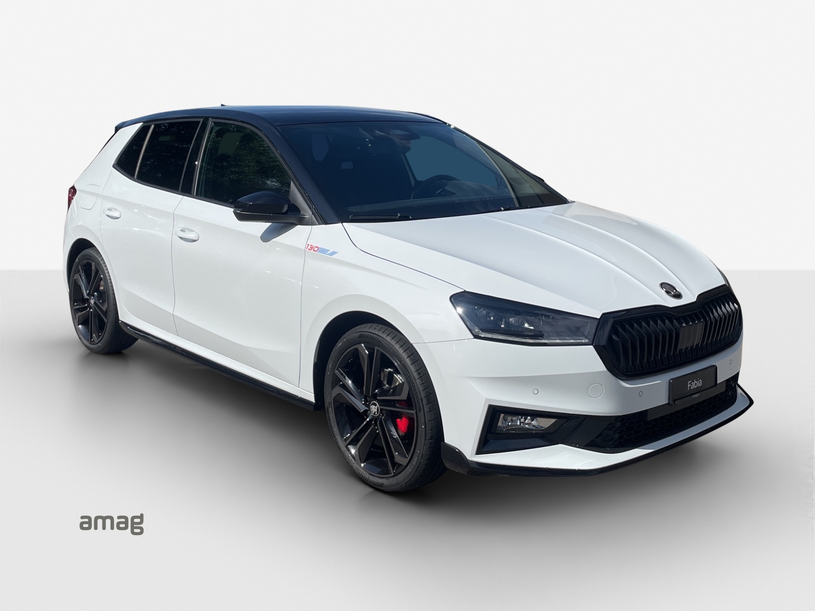 SKODA Fabia 1.5 TSI 130 DSG-image-5