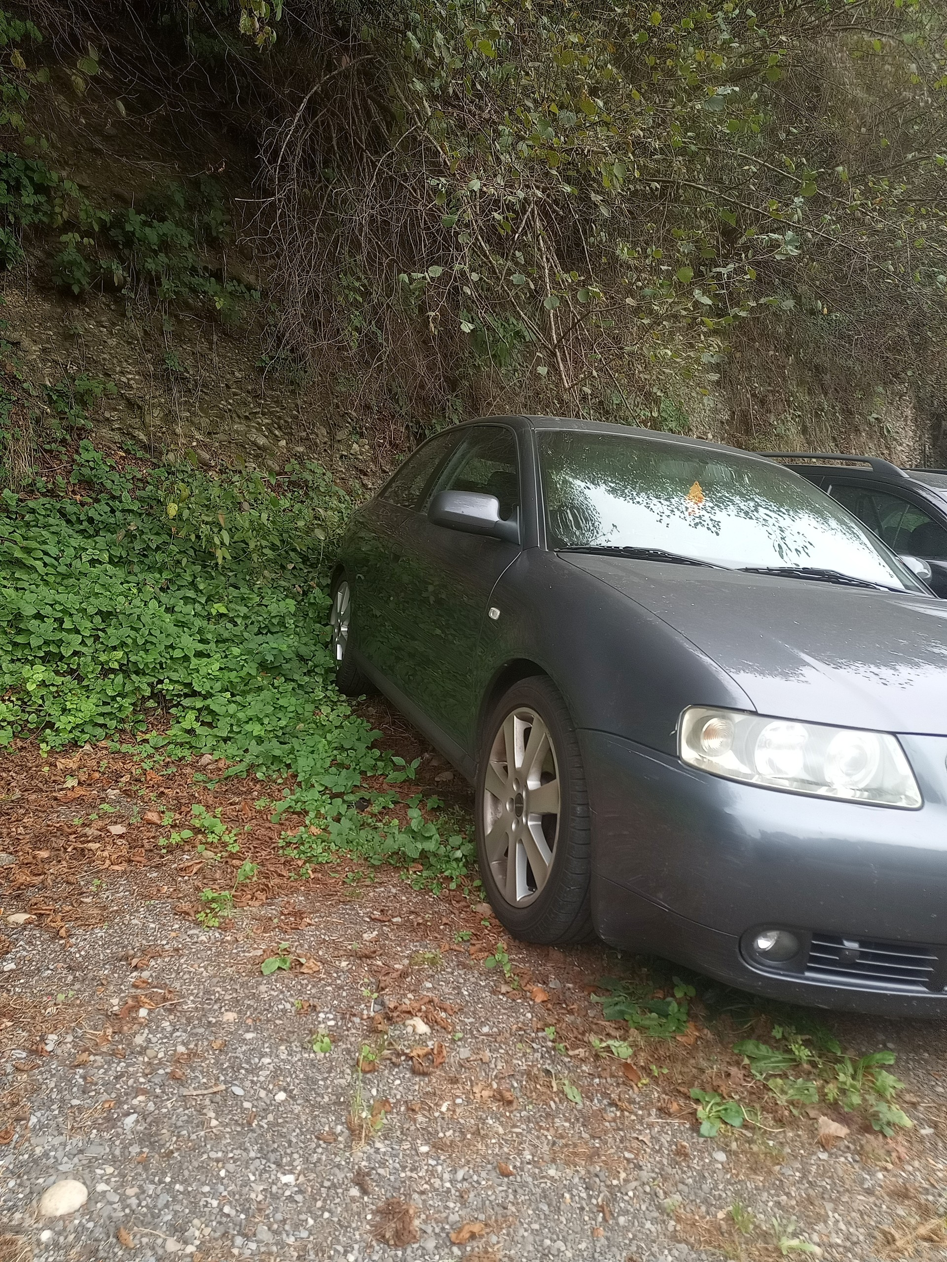 AUDI A3 1.8 T Ambition-image-2
