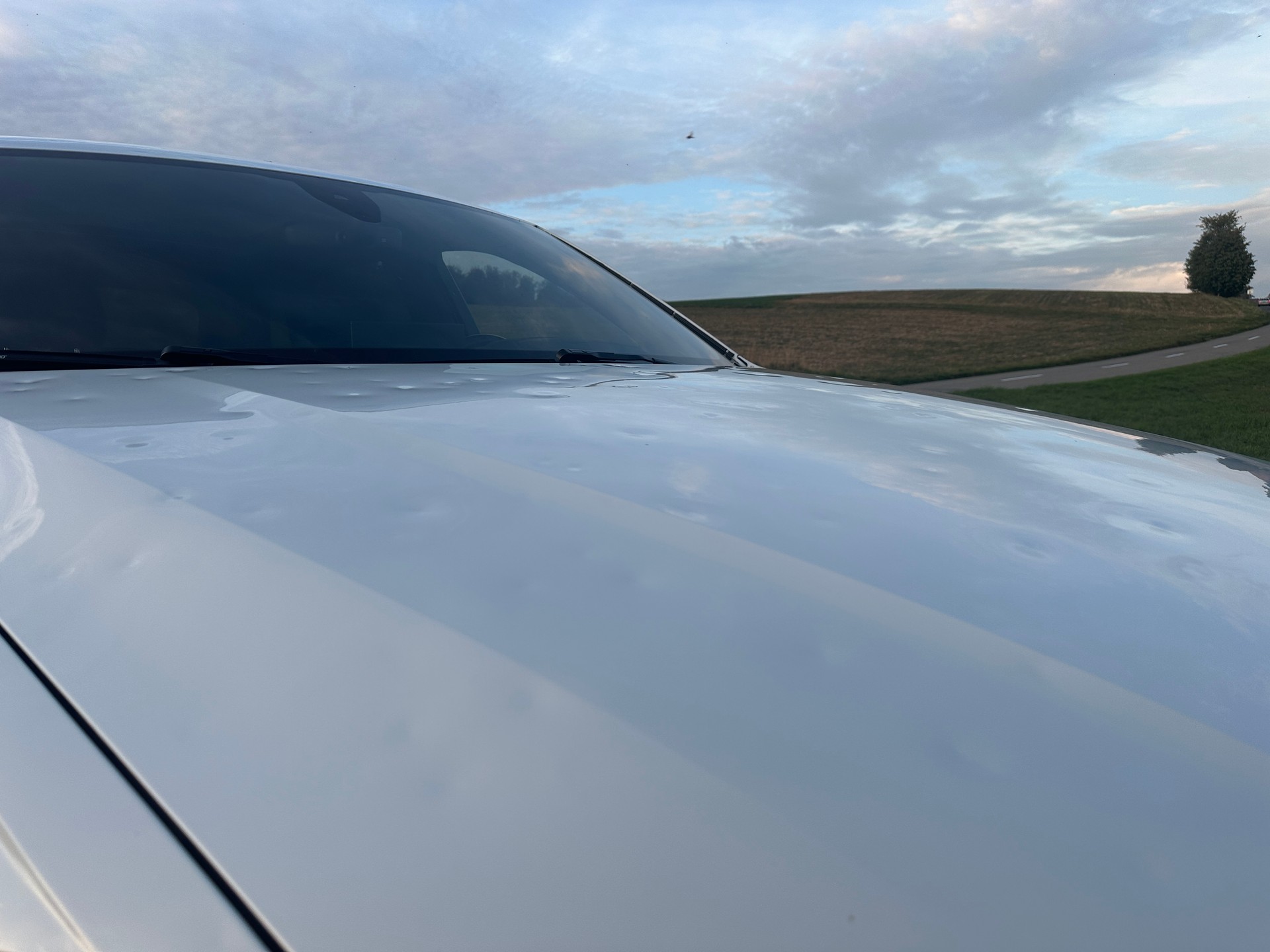 AUDI 3.0 V6 TDI 272 quattro T-Tronic S-Line-image-17