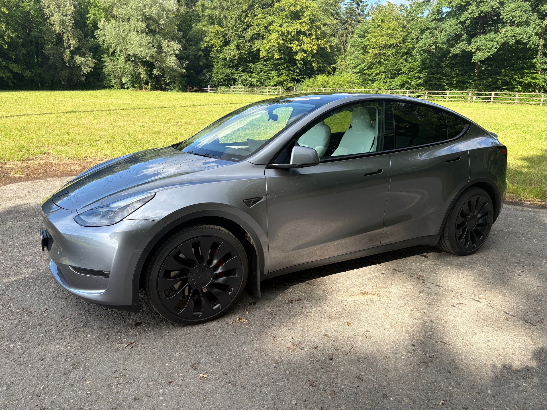 TESLA Model Y Performance-image-0