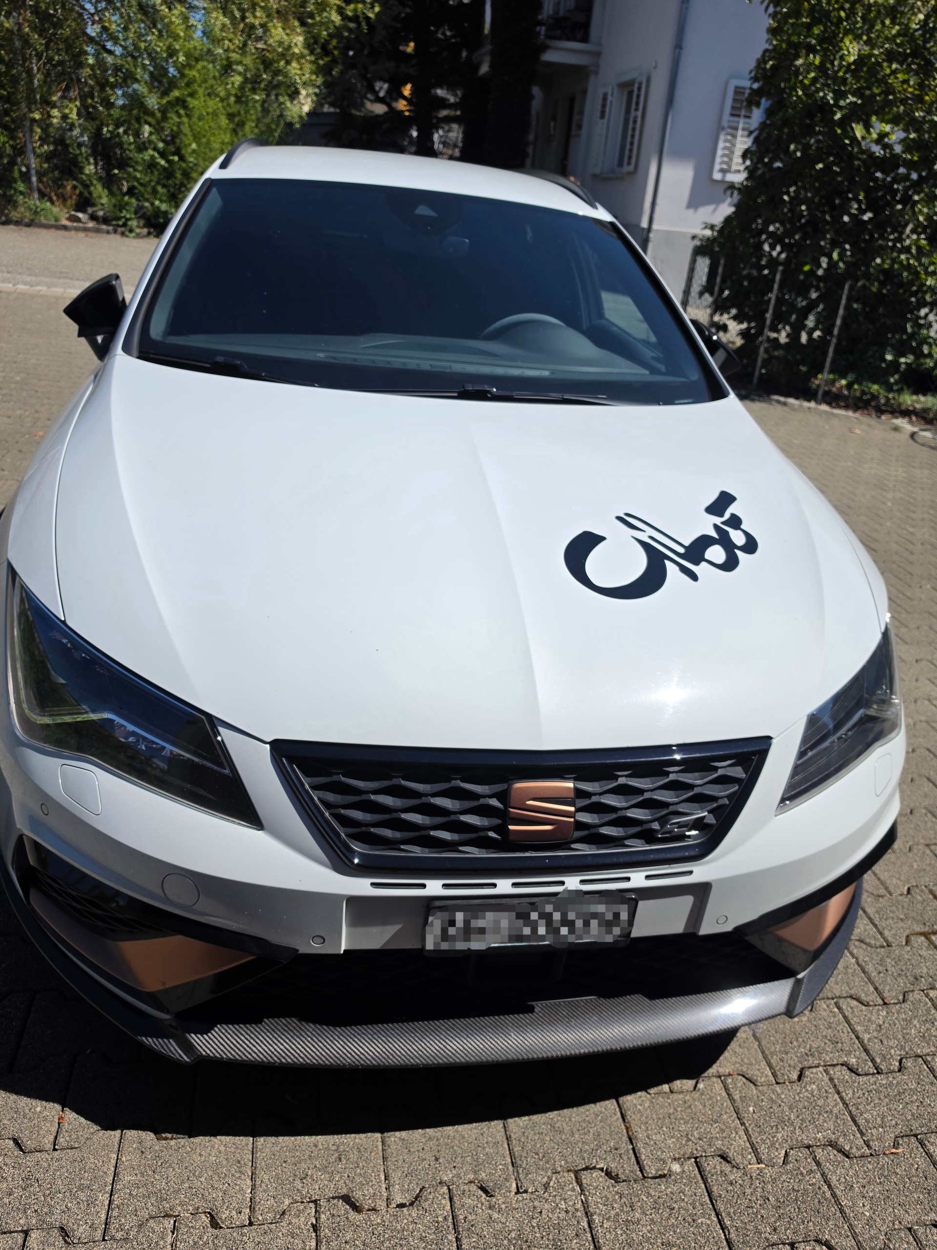 SEAT 2.0 TSI 300 Cupra R 4Drive DSG-image-3