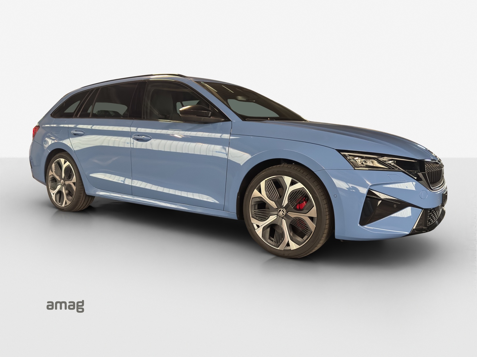 SKODA Octavia Combi 2.0 TSI DSG RS 30 Years Edition-image-5