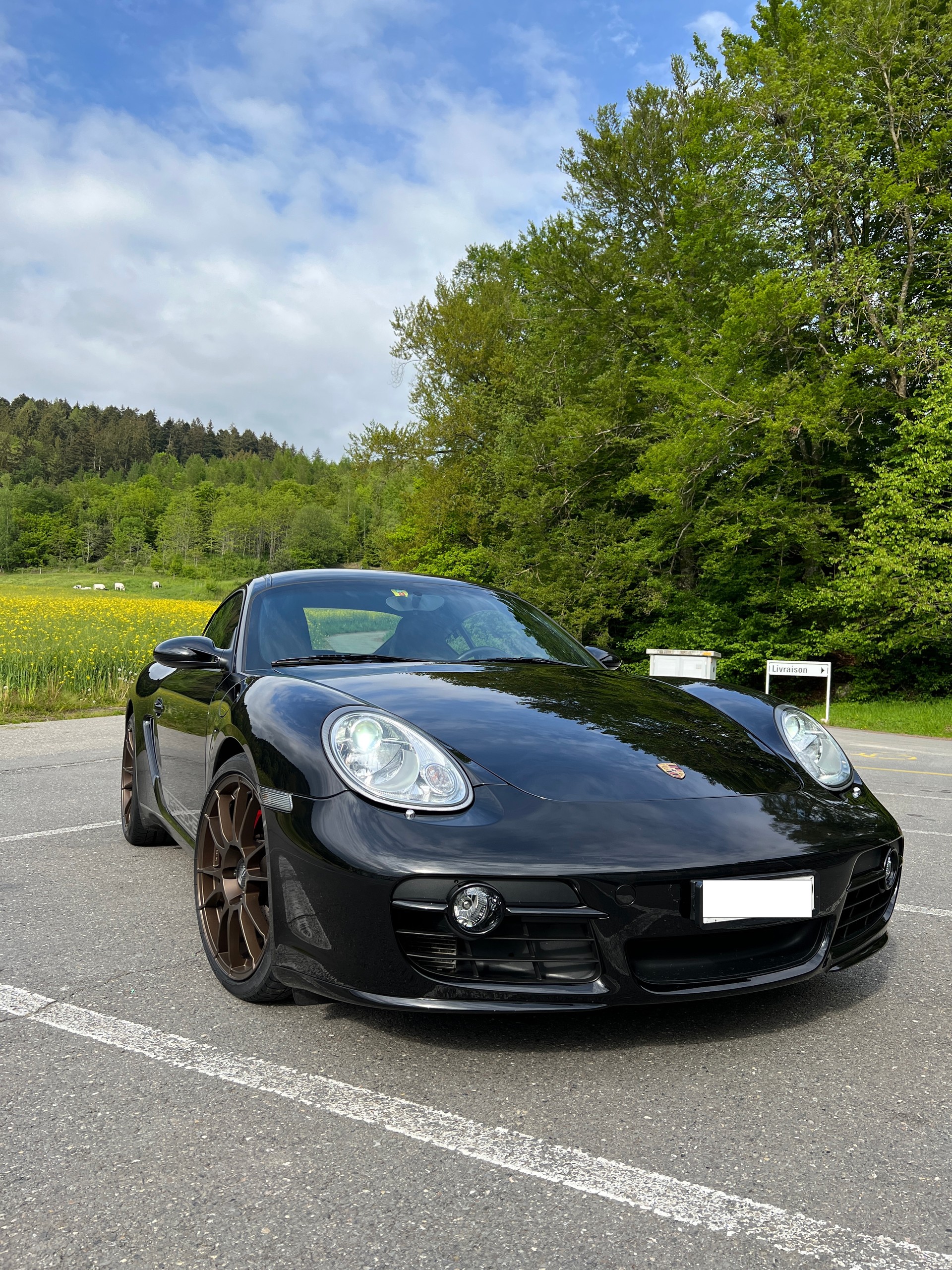PORSCHE Cayman S-image-0