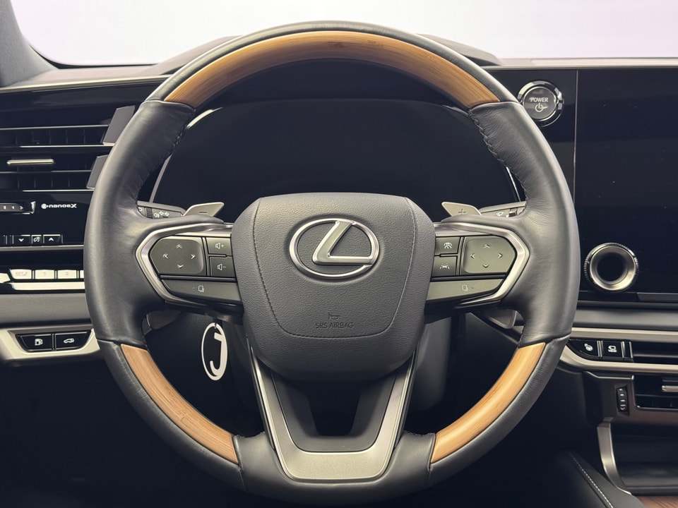 RX 450h+ Excellence E-FOUR Plug-in-Hybrid