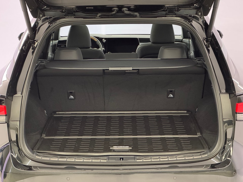 RX 450h+ Excellence E-FOUR Plug-in-Hybrid