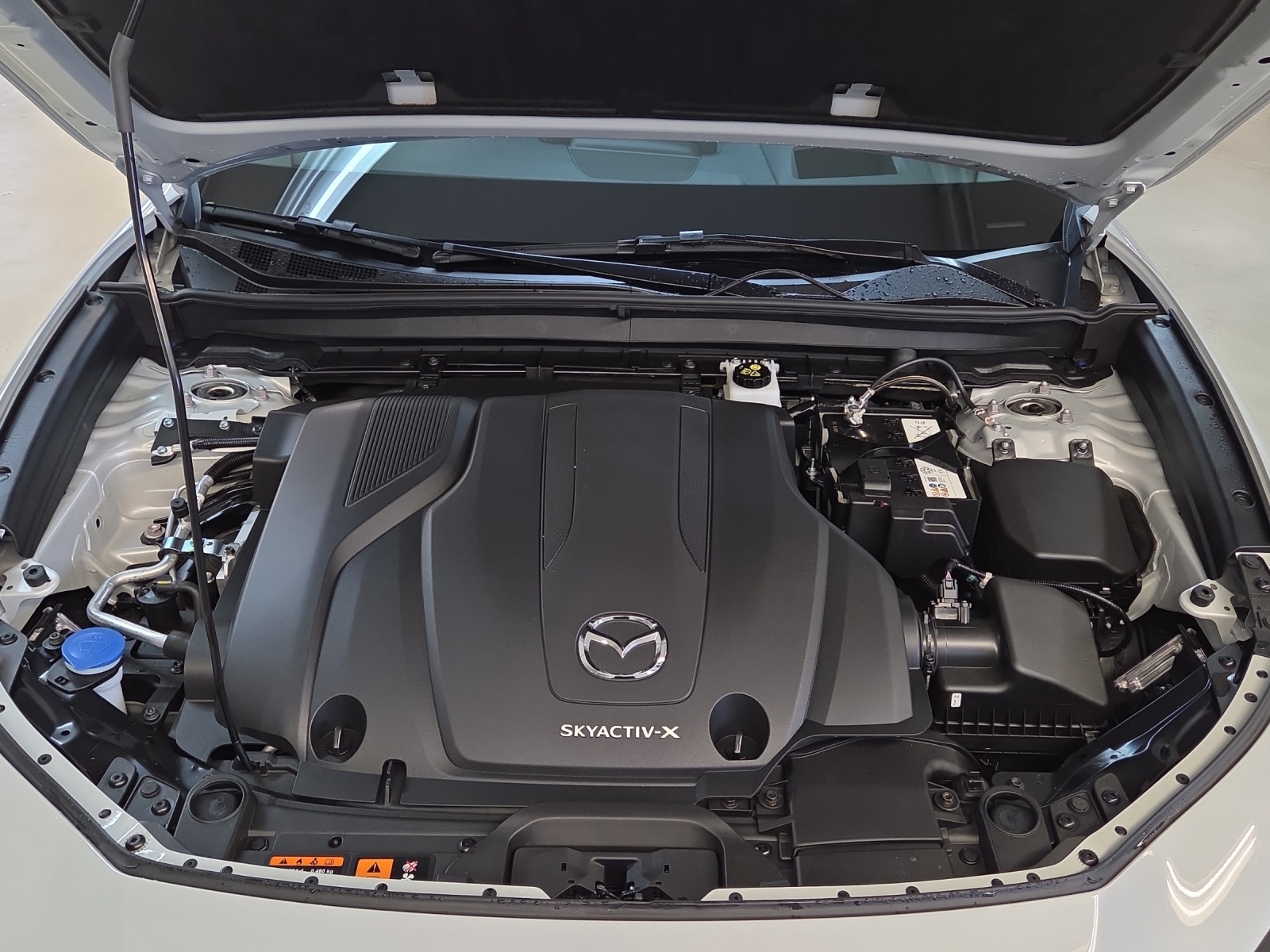 MAZDA CX-30 SKYACTIV-X 186 M Hybrid Homura AWD AT-image-19