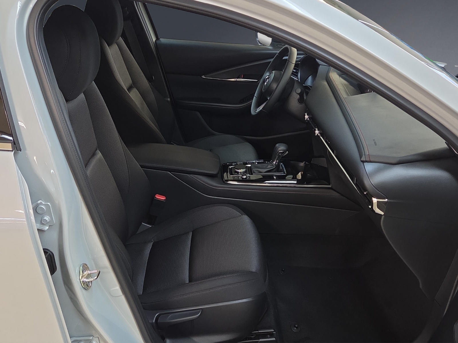 MAZDA CX-30 SKYACTIV-X 186 M Hybrid Homura AWD AT-image-9