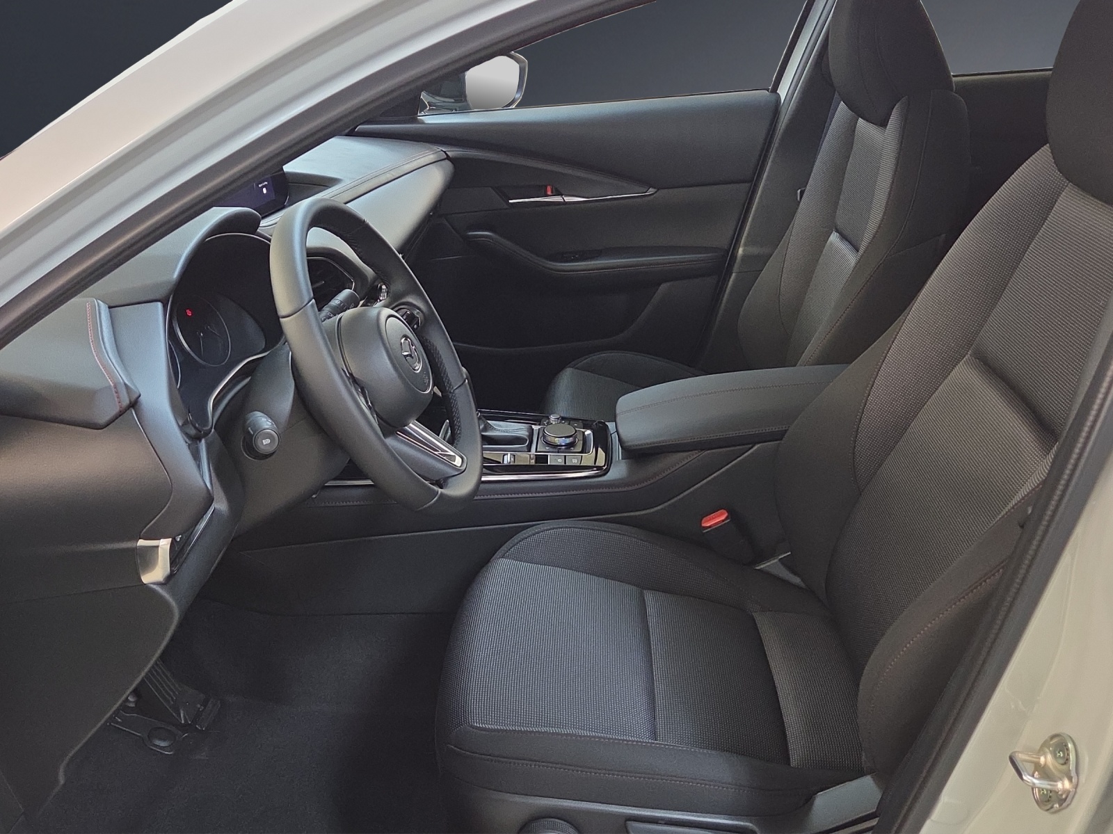 MAZDA CX-30 SKYACTIV-X 186 M Hybrid Homura AWD AT-image-6