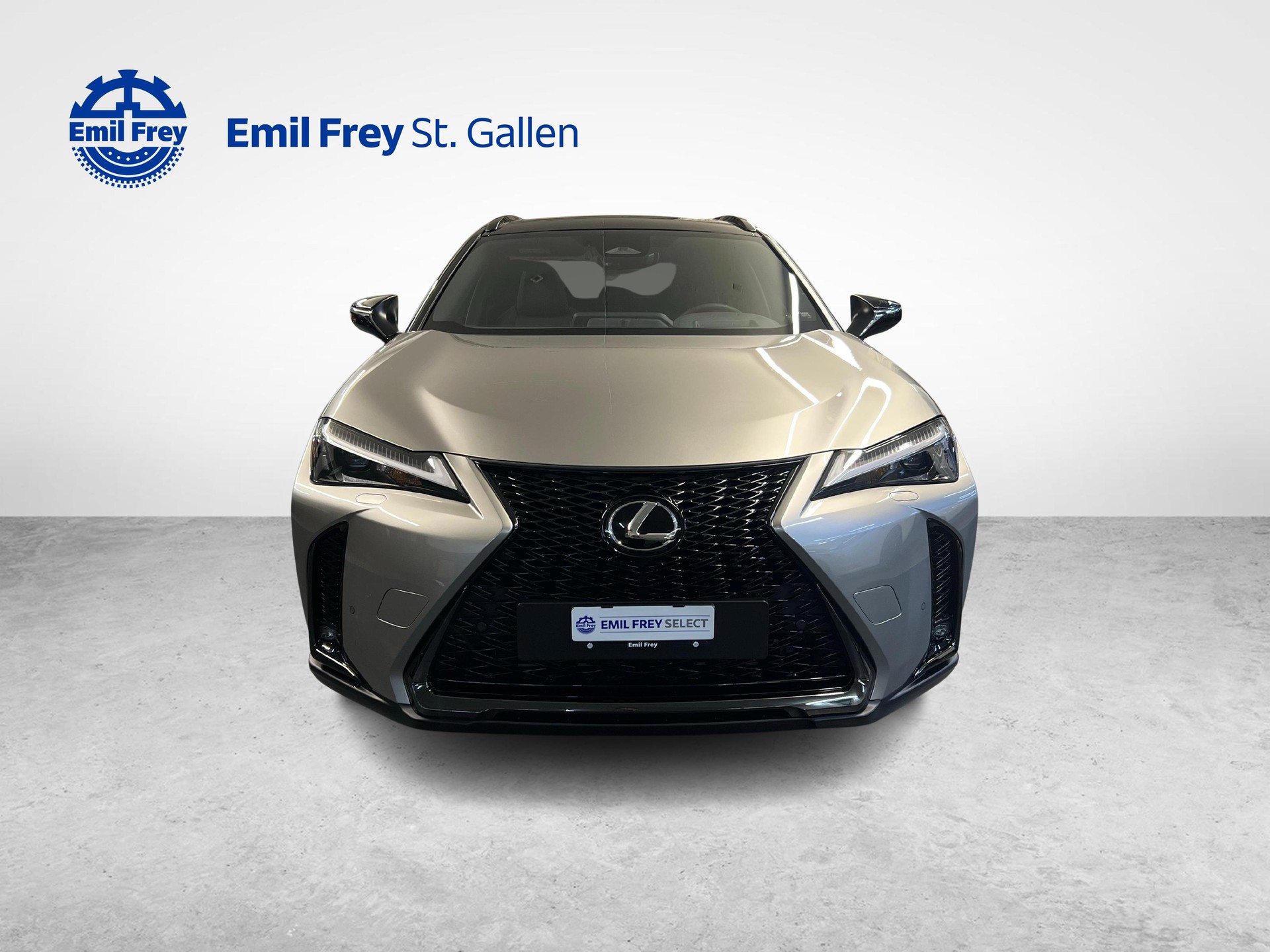 LEXUS UX 300h F-Line-image-7