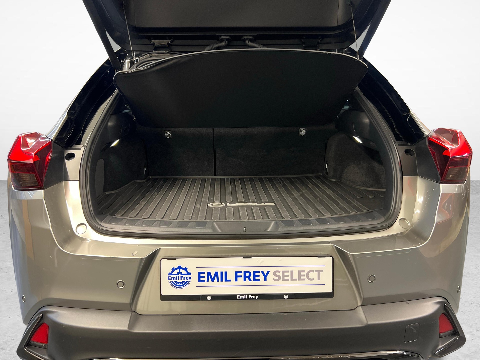 LEXUS UX 300h F-Line-image-11