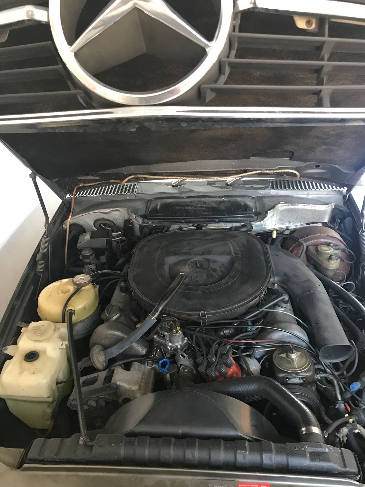 MERCEDES-BENZ US-image-5