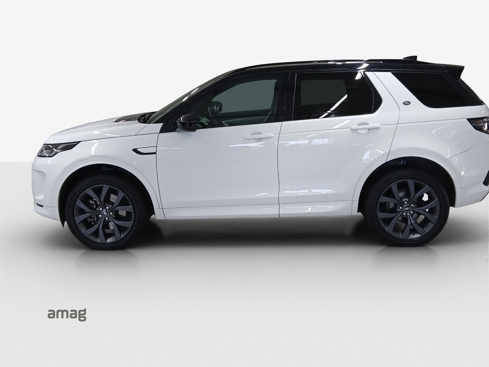 LAND ROVER Discovery Sport R Dyn. D165 2.0D TD4 MHEV SE AWD AT9-image-1