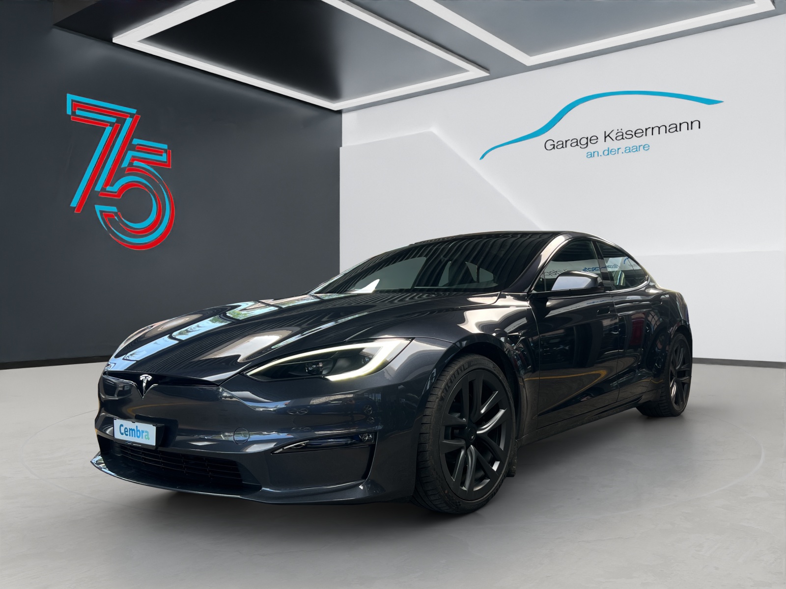 TESLA Model S-image-0