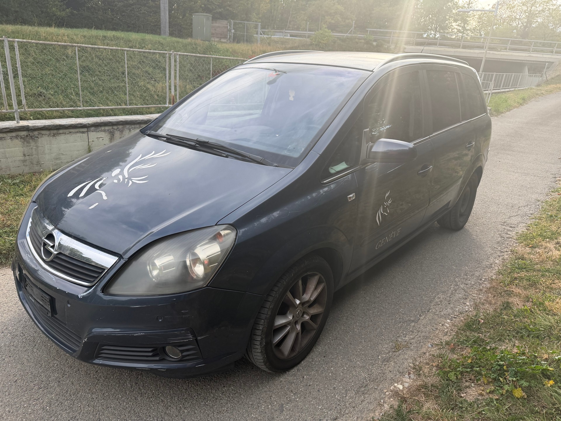 OPEL Zafira 1.9 CDTI Cosmo-image-1