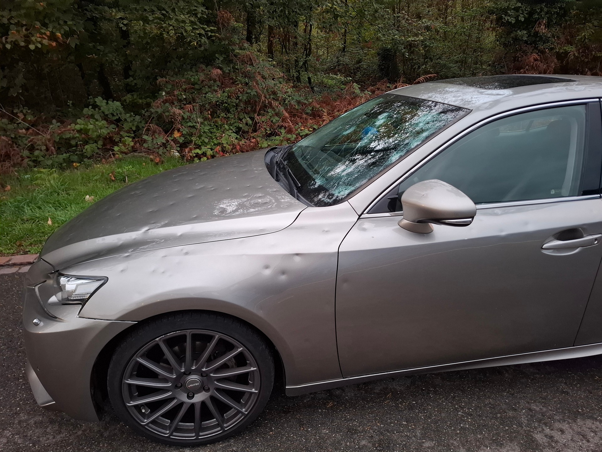 LEXUS IS 300h Sport Automatic-image-8