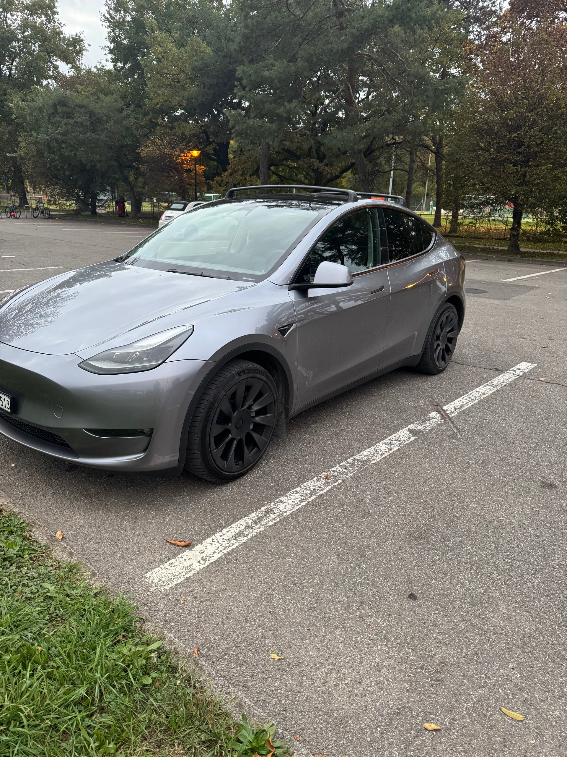 TESLA Long Range D-image-0