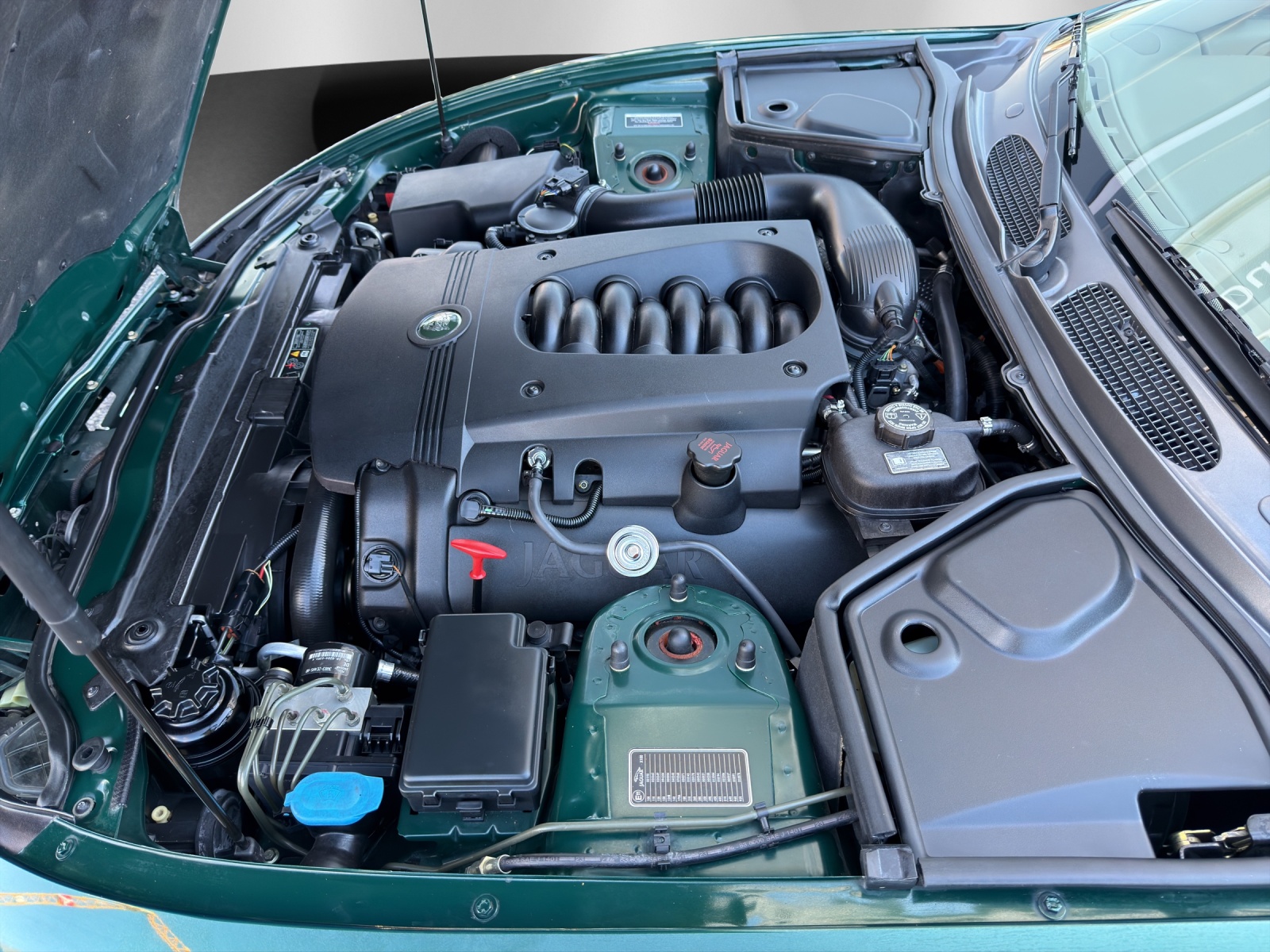 JAGUAR XK8-image-14