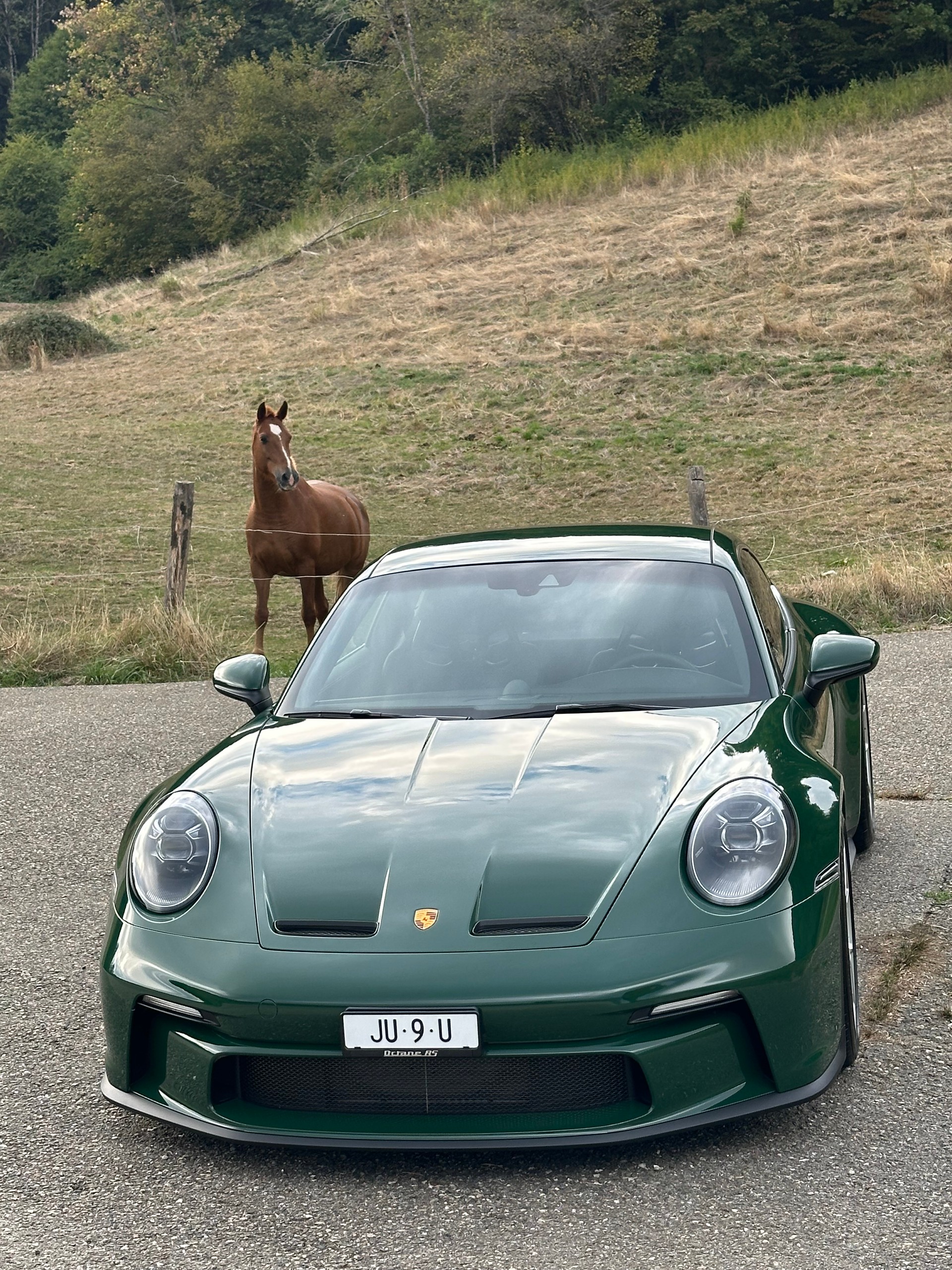 PORSCHE 911 GT3 Touring PTS British Racing Green-image-11
