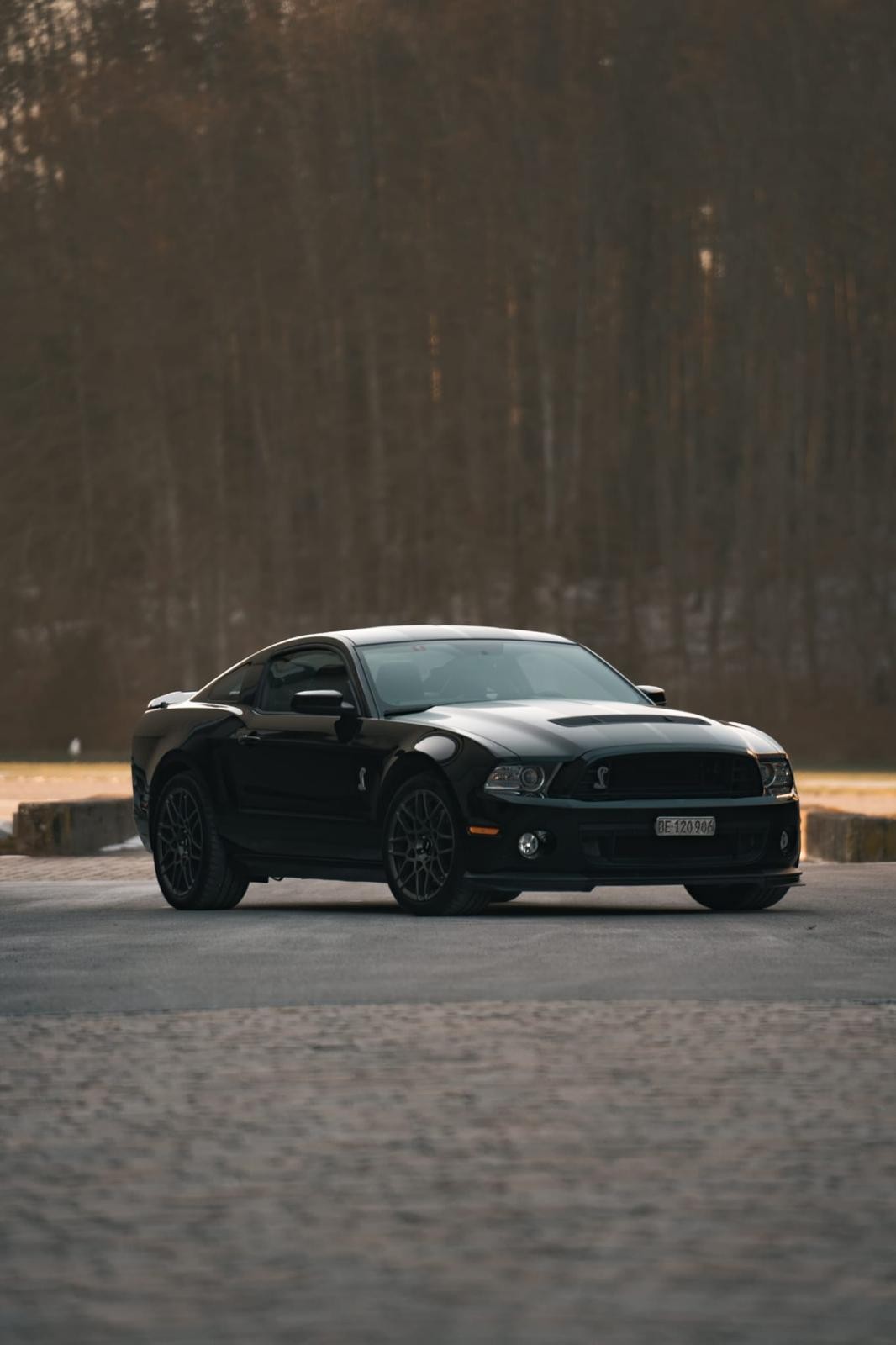 FORD Shelby GT 500-image-0