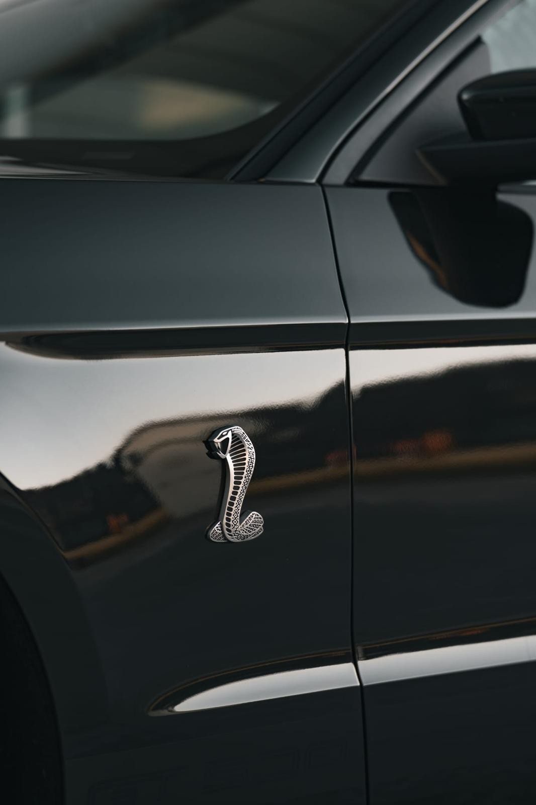 FORD Shelby GT 500-image-5